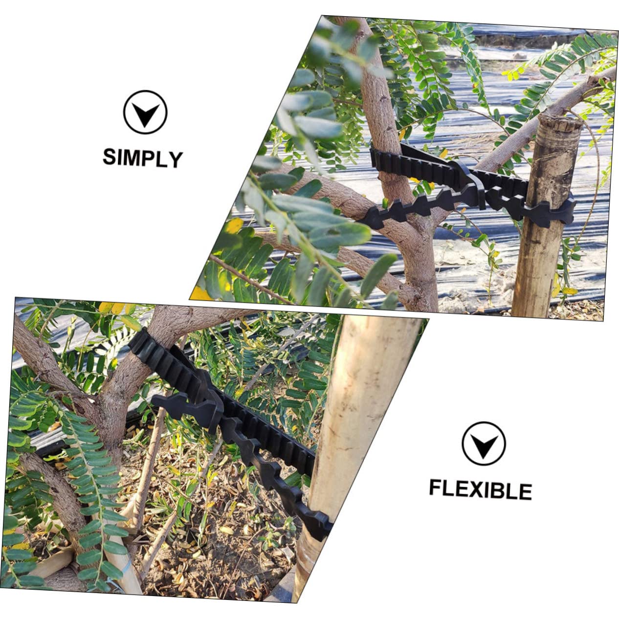 Gatuida 10 Stück Flexible Gummi Baumbefestigungsbänder zum Pflanzenbinden und Aststützen Verstellbar und Langlebig für Garten und Baumpflege