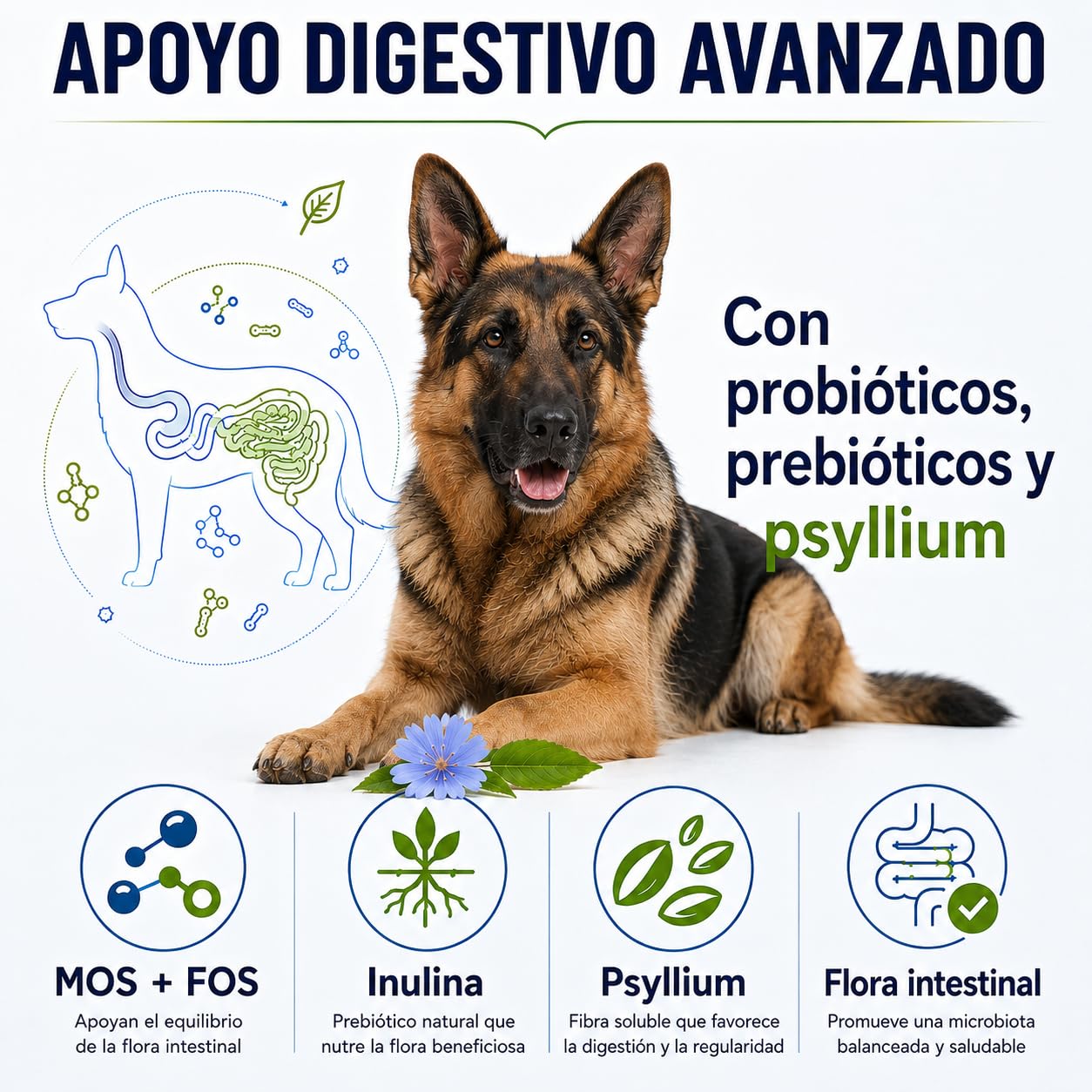 Pienso Hipoalergénico para Perros Hidrolizado de Pescado Blanco Sin Cereales Grain Free Alta Digestibilidad y Cuidado de la Piel atopica Todas Las Razas y tamaños - 10 kg - PURO INSTINTO Salud