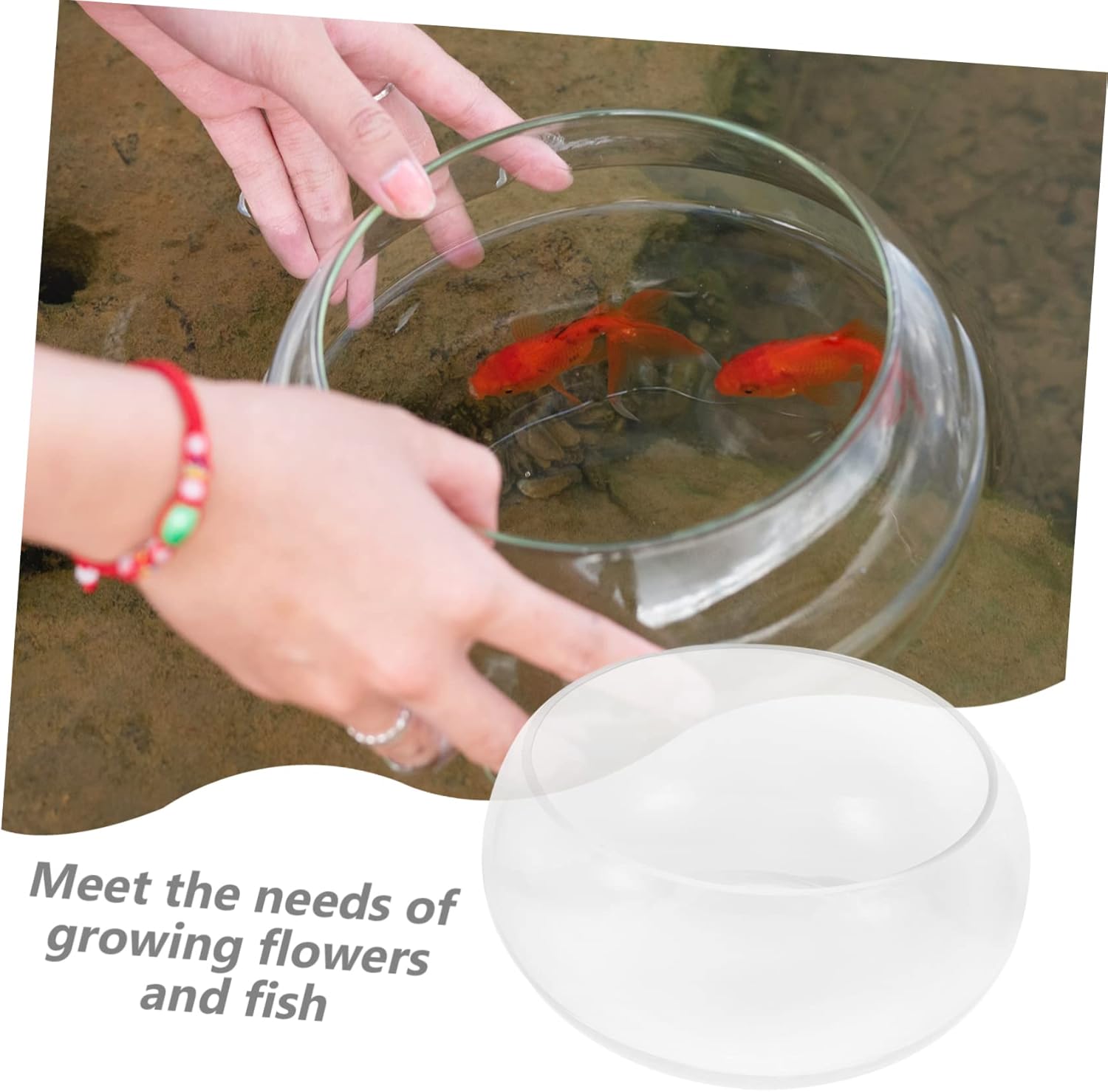 2pcs Round Glass Fish Bowl Green Succulent Plant Container Hydroponic Terrarium Desktop Decor for Home