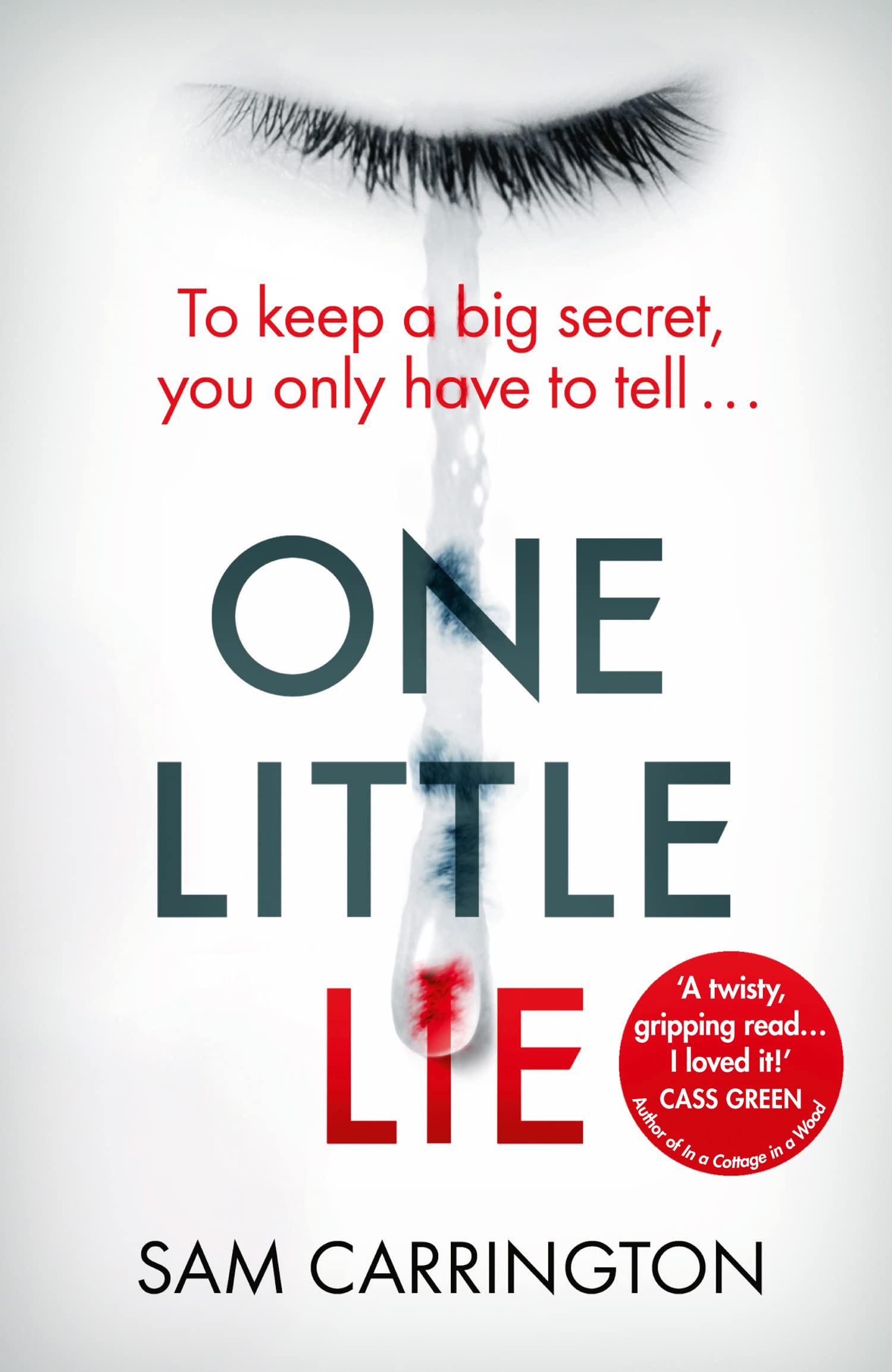 One Little Lie: An absolutely unputdownable and gripping psychological thriller