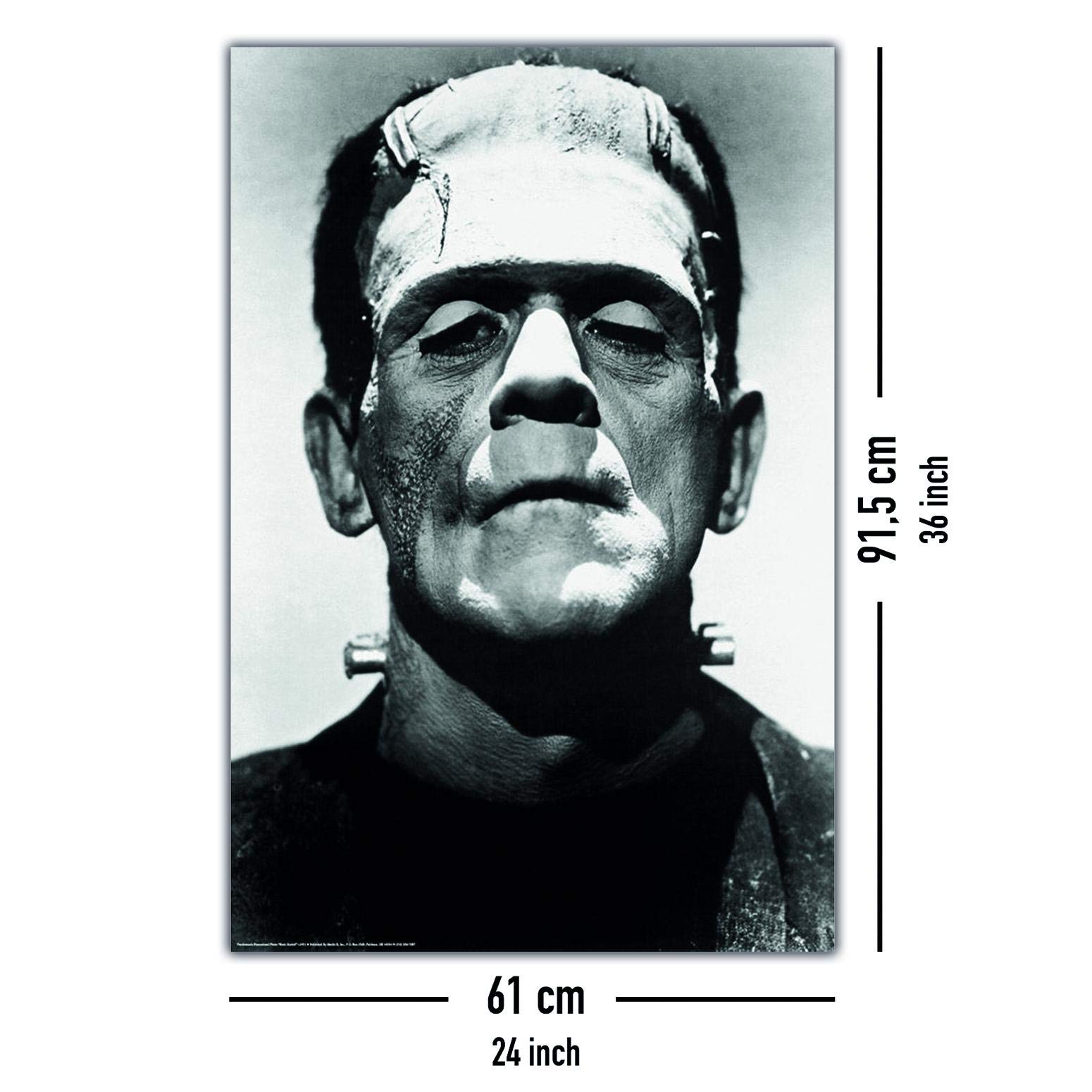 Amazon.com: Close Up Frankenstein Poster Boris Karloff (24