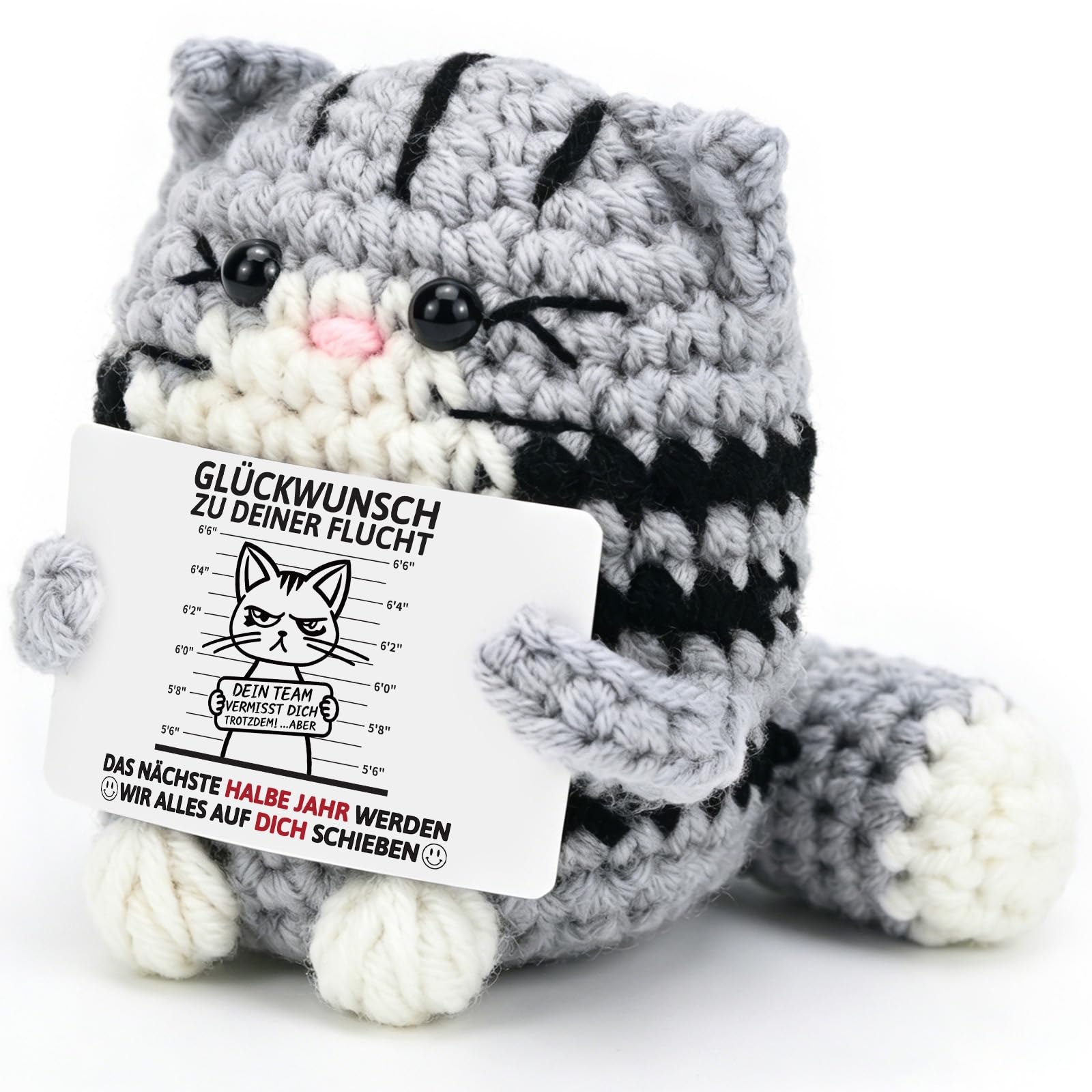 Smlper Positive Geschenke Katze, Pocket Hug Glücksbringer Katzen Kuscheltier, Gehäkelte Du schaffst das Geschenk, Emotional Support Geschenk zum Mutmacher Viel Glück Geburtstagsgeschenk für Frauen