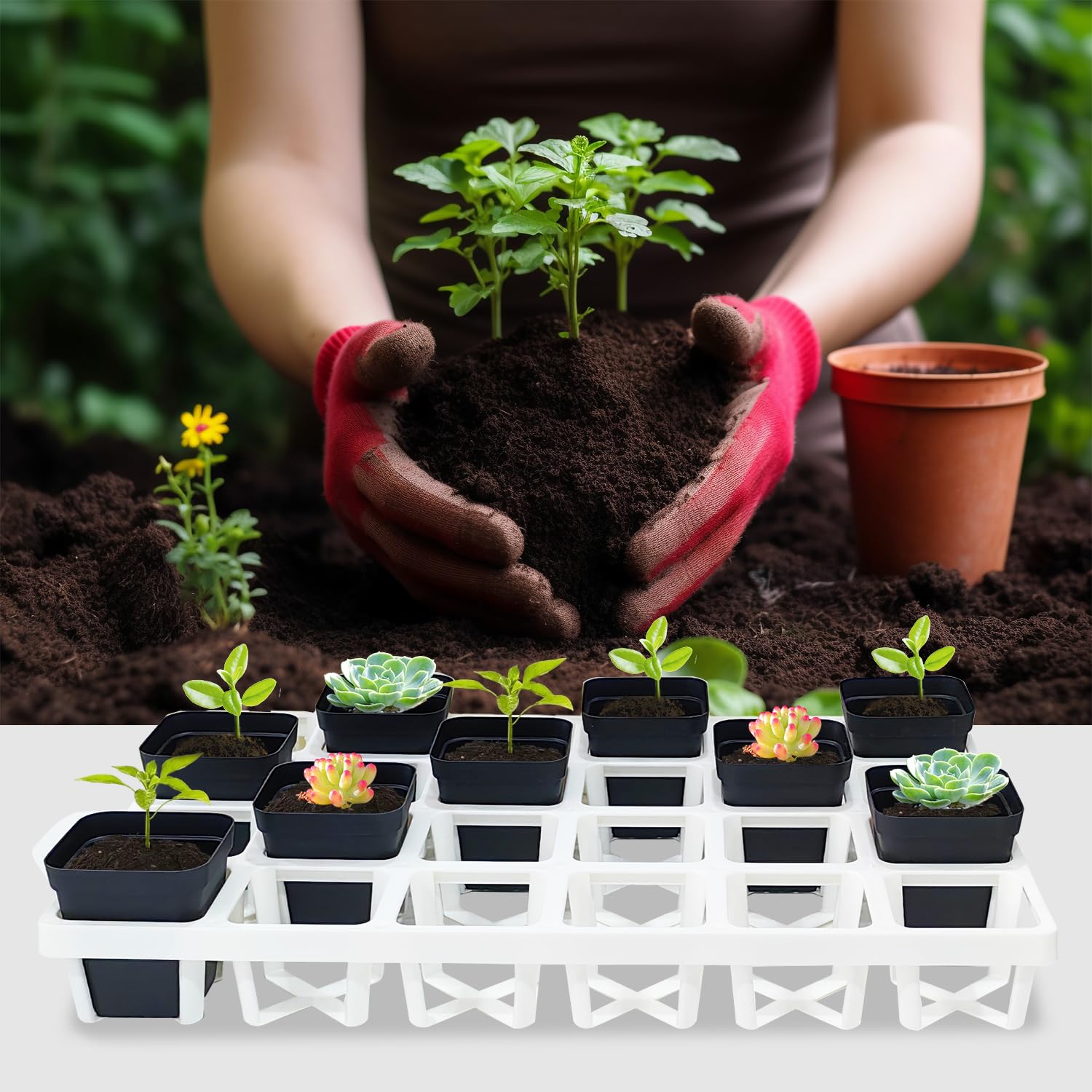 Snapklik.com : RooTrimmer 5 Pack Planting Pots Moving Trays For 3 Inch