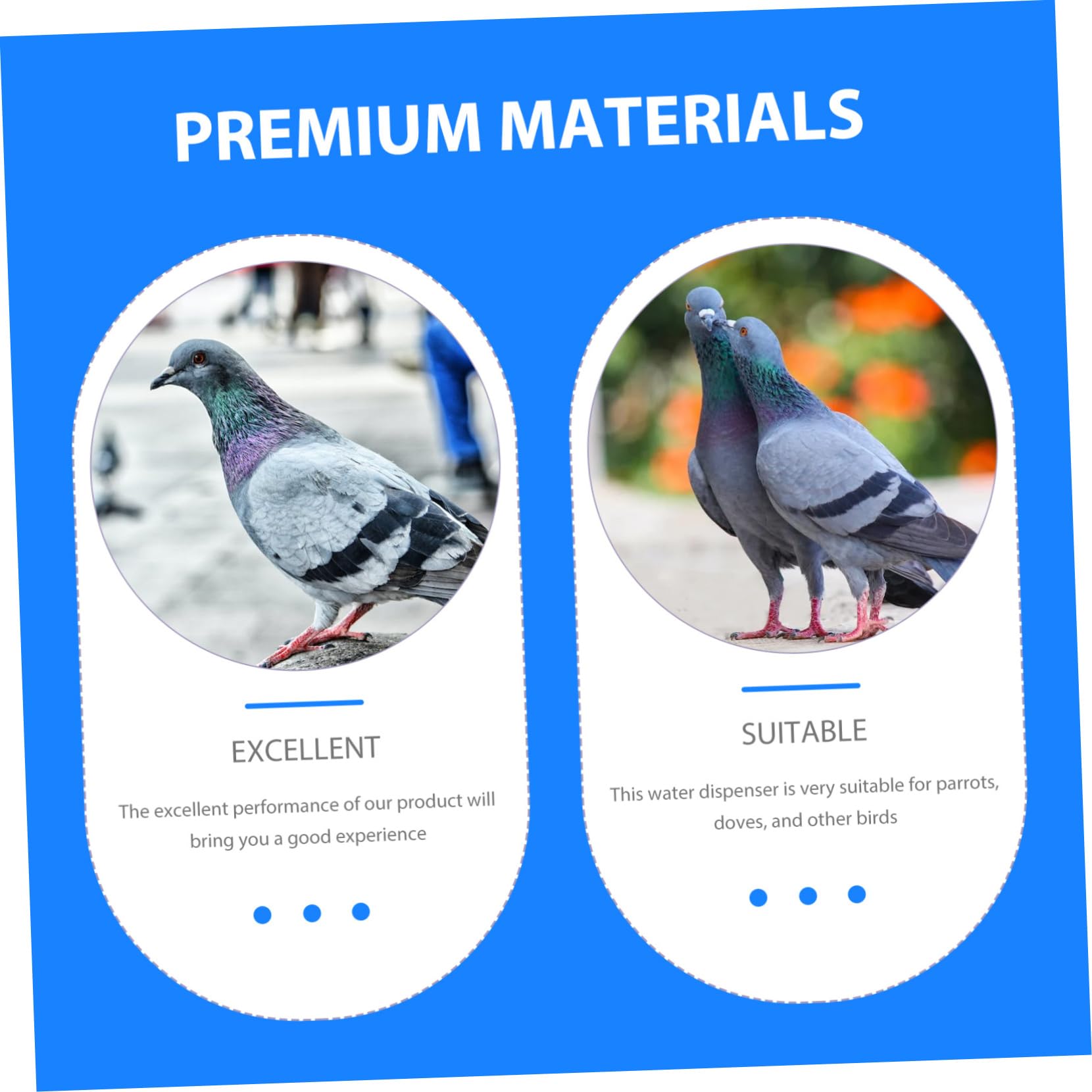 Automatische Vogeltränke für Tauben 4L aus Kunststoff Abnehmbar Robustes Design Blau für Vogelvolieren und Außenbereiche