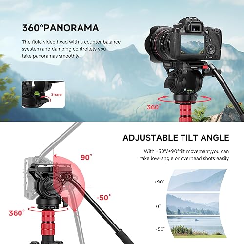 Miniatura 4 de Avella A154P Trípode, cámara de vídeo trípode monopie aleación de aluminio 78.3 pulgadas para Canon Nikon Sony Olympus Panasonic DSLR cámara