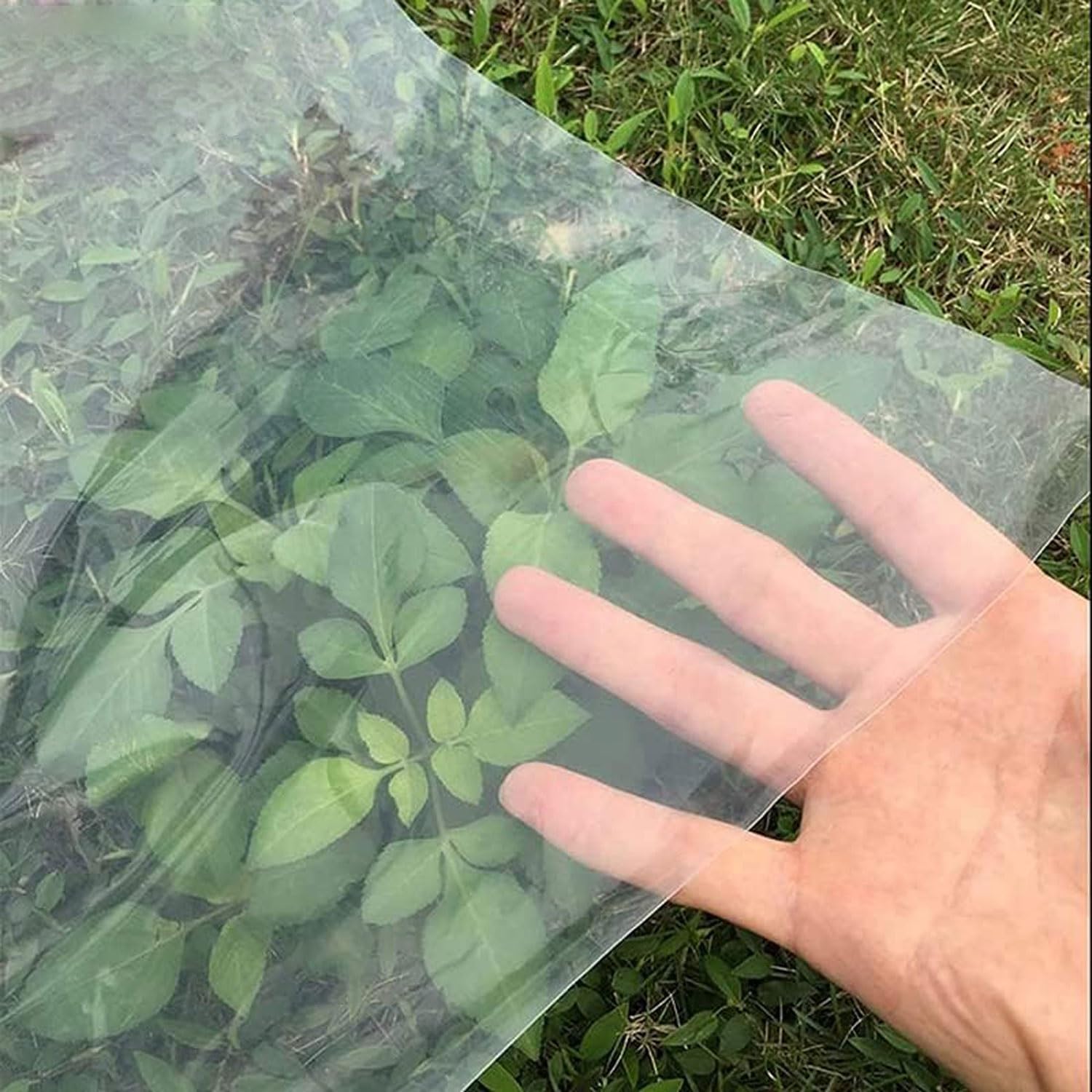 Plastico Invernadero, Polietileno,Transparente, Reutilizabl | Impermeabilización Transparente de Protección de las Plantas Láminas de Cubierta de la Película al Aire Libre Jardín(4x8M)