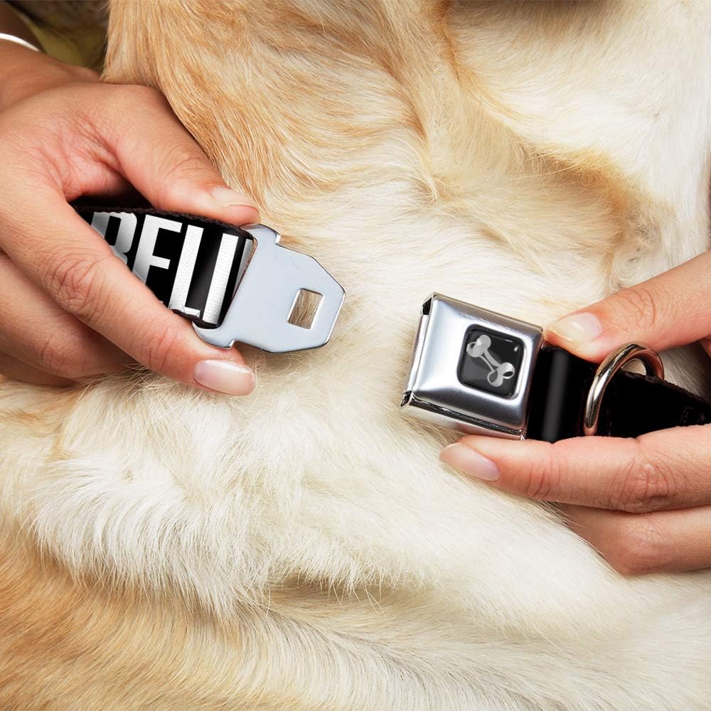 Buckle-Down Seatbelt Buckle Dog Collar - Bigfoot Silhouette I BELIEVE Black/Gray/White - 1" Wide - Fits 11-17" Neck - Medium