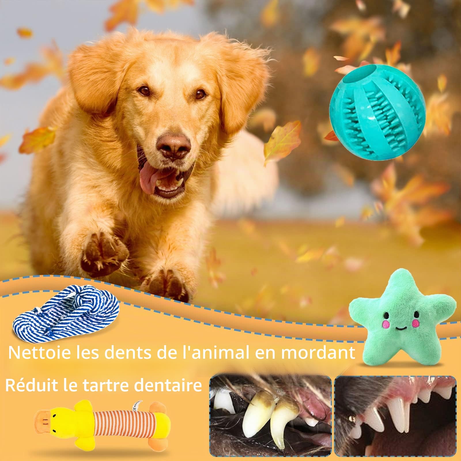 Lot de 20 jouets pour chien - Corde interactive - Balle en corde - Dents robustes - Jouet durable pour chiens de petite et grande taille