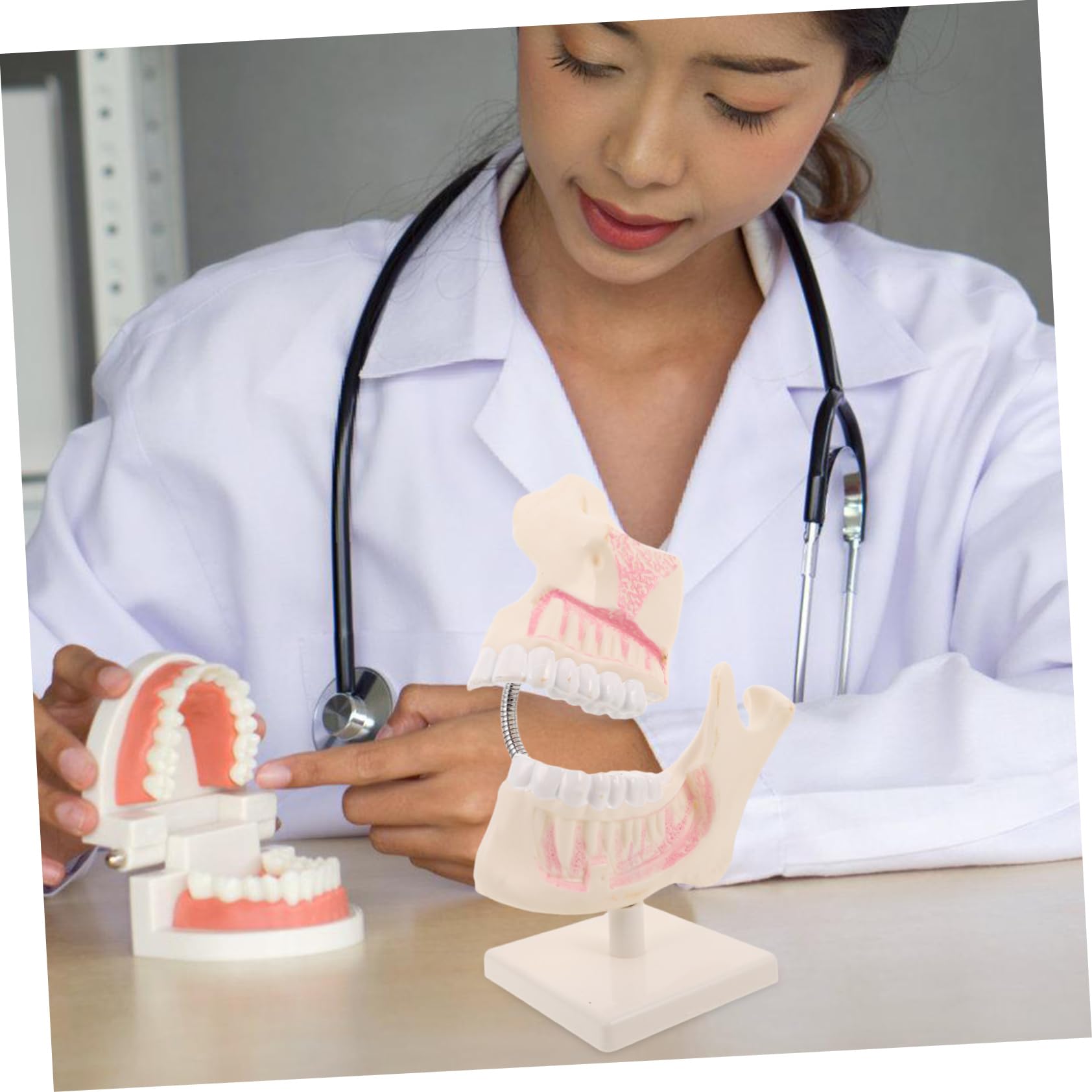 PRETYZOOM Modello di Denti in Plastica per Studio Odontoiatrico Modello Typodont per Pratica Denti Finti per Apprendimento Orale