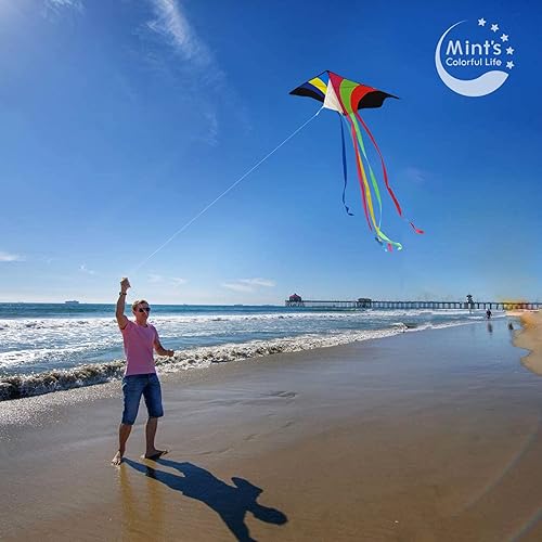 Miniatura 21 de Mint's Colorful Life Cometa Delta para niños y adultos, cometa extremadamente fácil de volar, las mejores cometas para principiantes