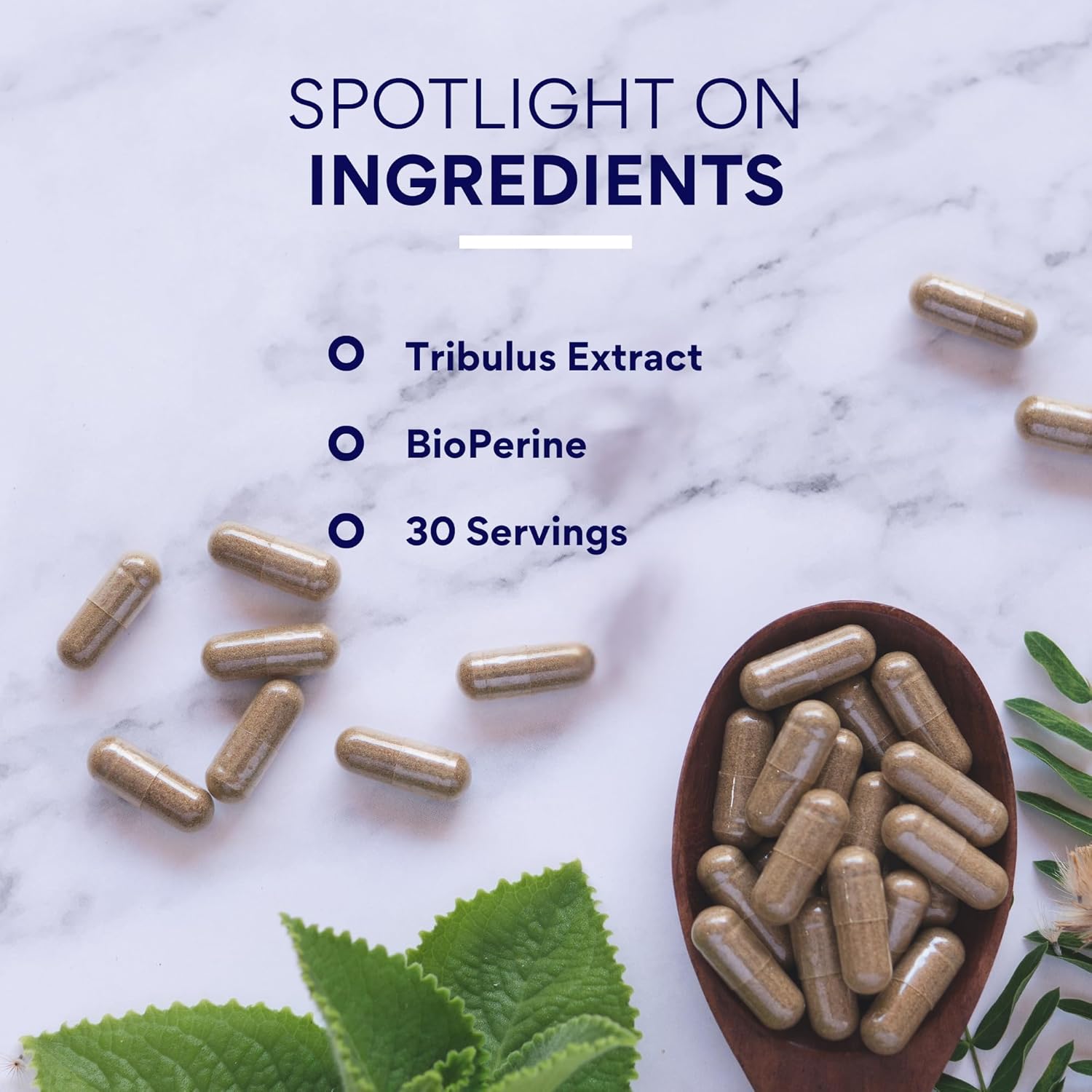 Research Verified® Tribulus Terrestris - 1500mg- 95% Furostanol Saponins, 5% Bioperine® - 60 Count - 6 Bottles