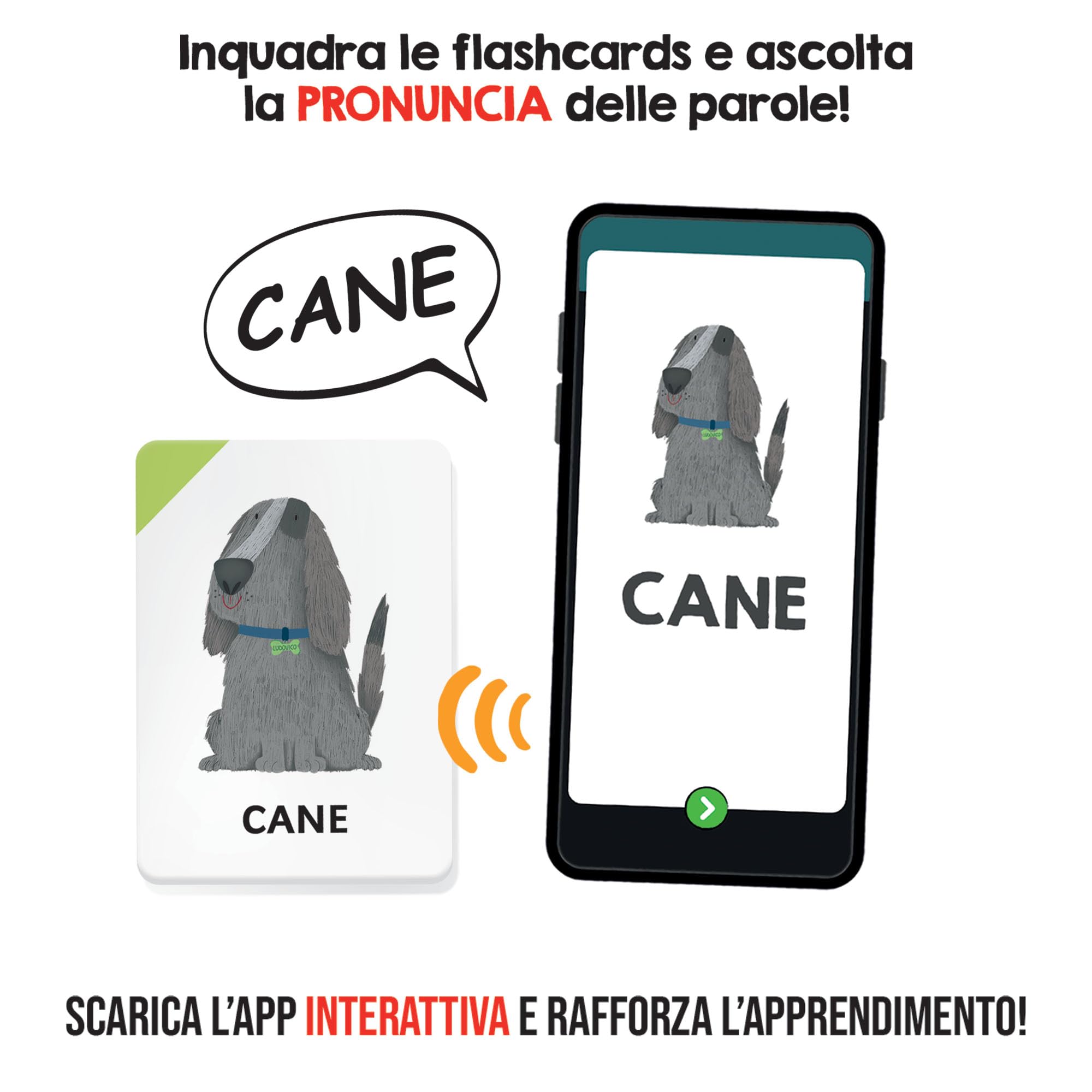 HEADU - Il Cofanetto delle Flashcards 100 parole - La Più Ricca Raccolta di Flashcards Per Imparare le Prime Parole | Con App Interattiva, Gioco Educativo 2 3 4 Anni, Idea Regalo, Made in Italy