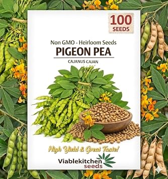 100 - Pigeon Peas Seeds for Planting NonGMO Heirloom Gandules Cajanus cajan a.k.a Gungo Peas/Congo Pea HighGermination Vegetable Seeds for Outdoor Garden & Trellis Growing.