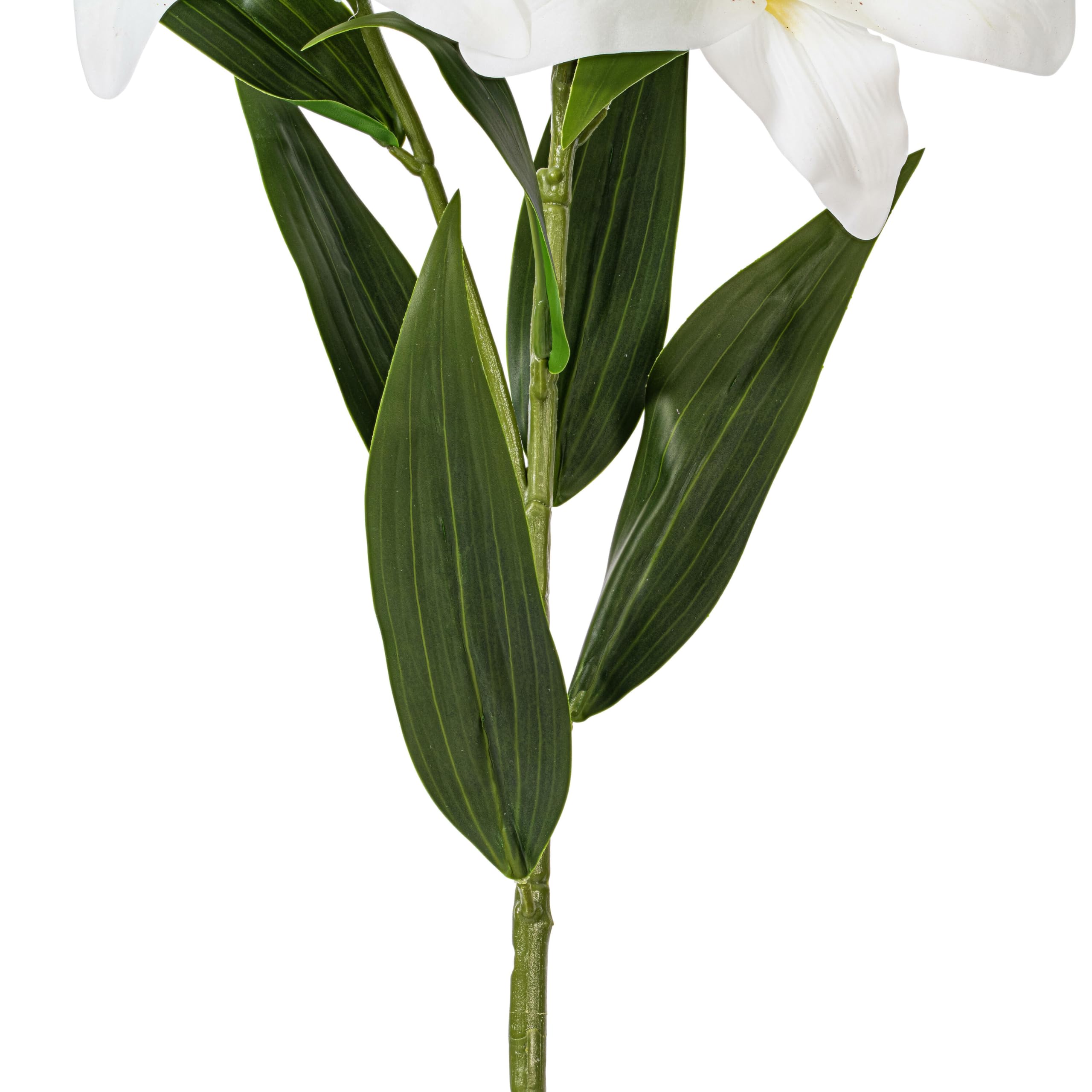 Amazon.com: Vickerman 36'' Artificial White and Yellow Real Touch