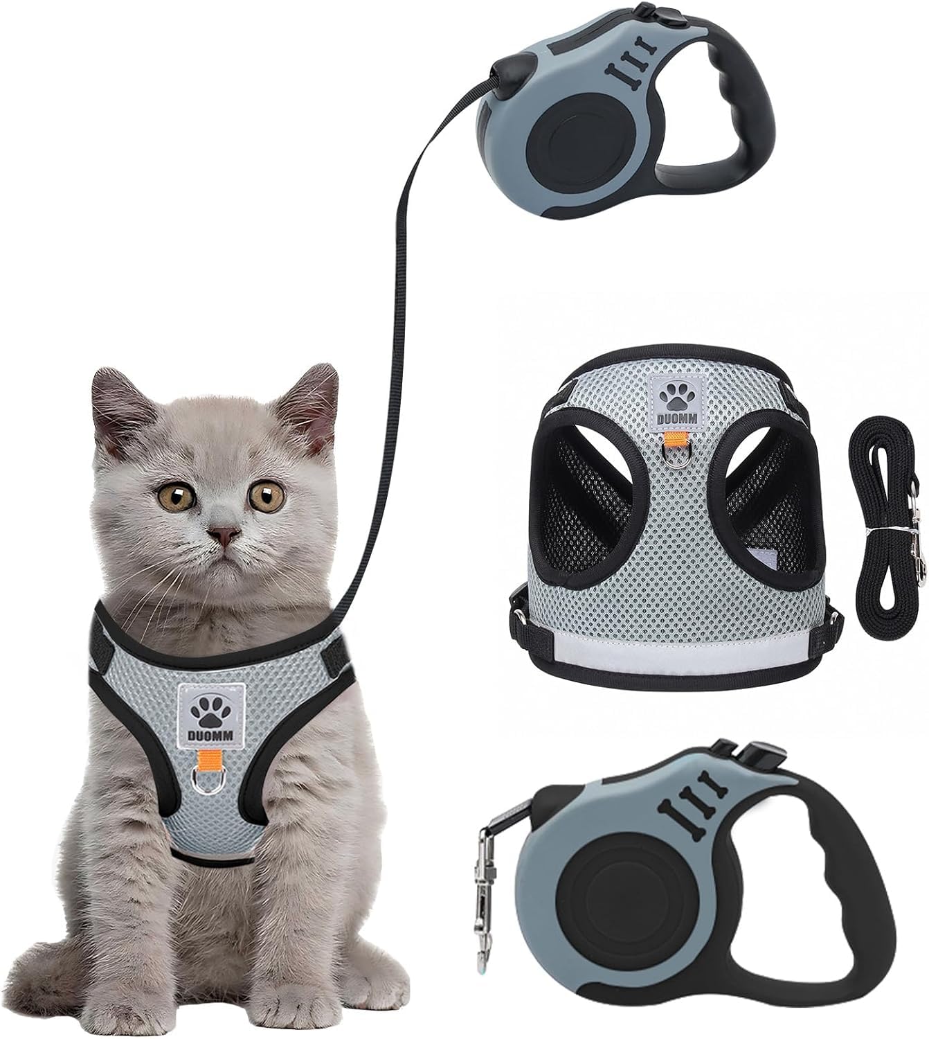 Harnais chat gilet souple réfléchissant laisse rétractable 3 m