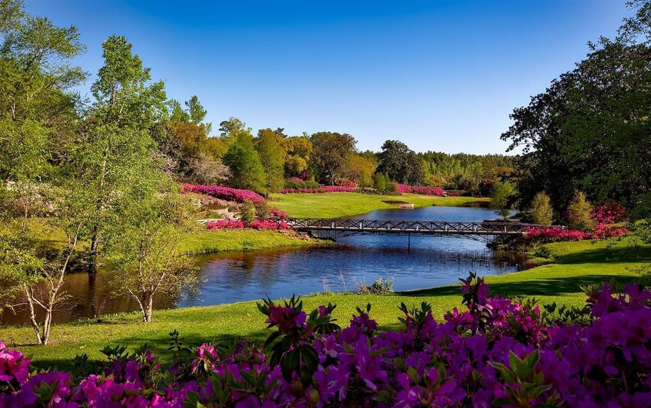 Spring Pond - Puzzle Per Adulti Da 1500 Pezzi, Decorazione Per La Casa, Regalo Per Feste Di Compleanno, Giocattolo Per Uomini, Donne E Anziani