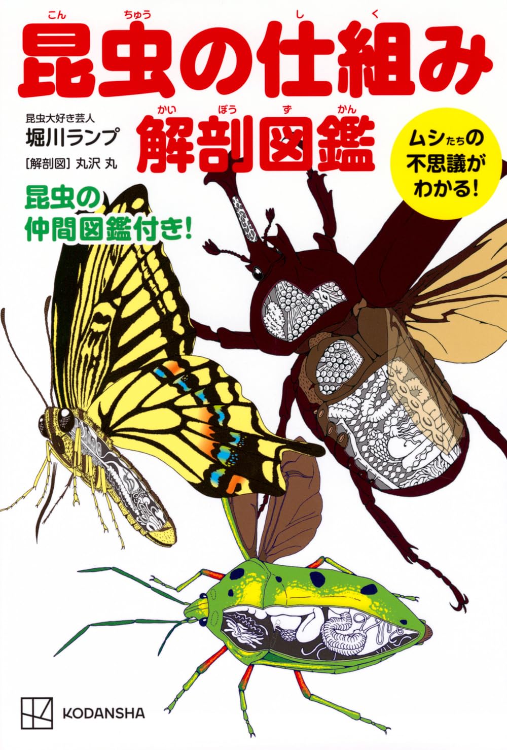 昆虫の仕組み 解剖図鑑 ムシたちの不思議がわかる! | 堀川 ランプ, 丸