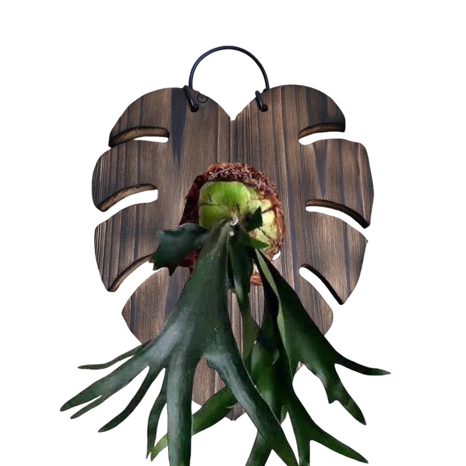 Jardinière murale intérieure en bois avec pot feuille de monstera