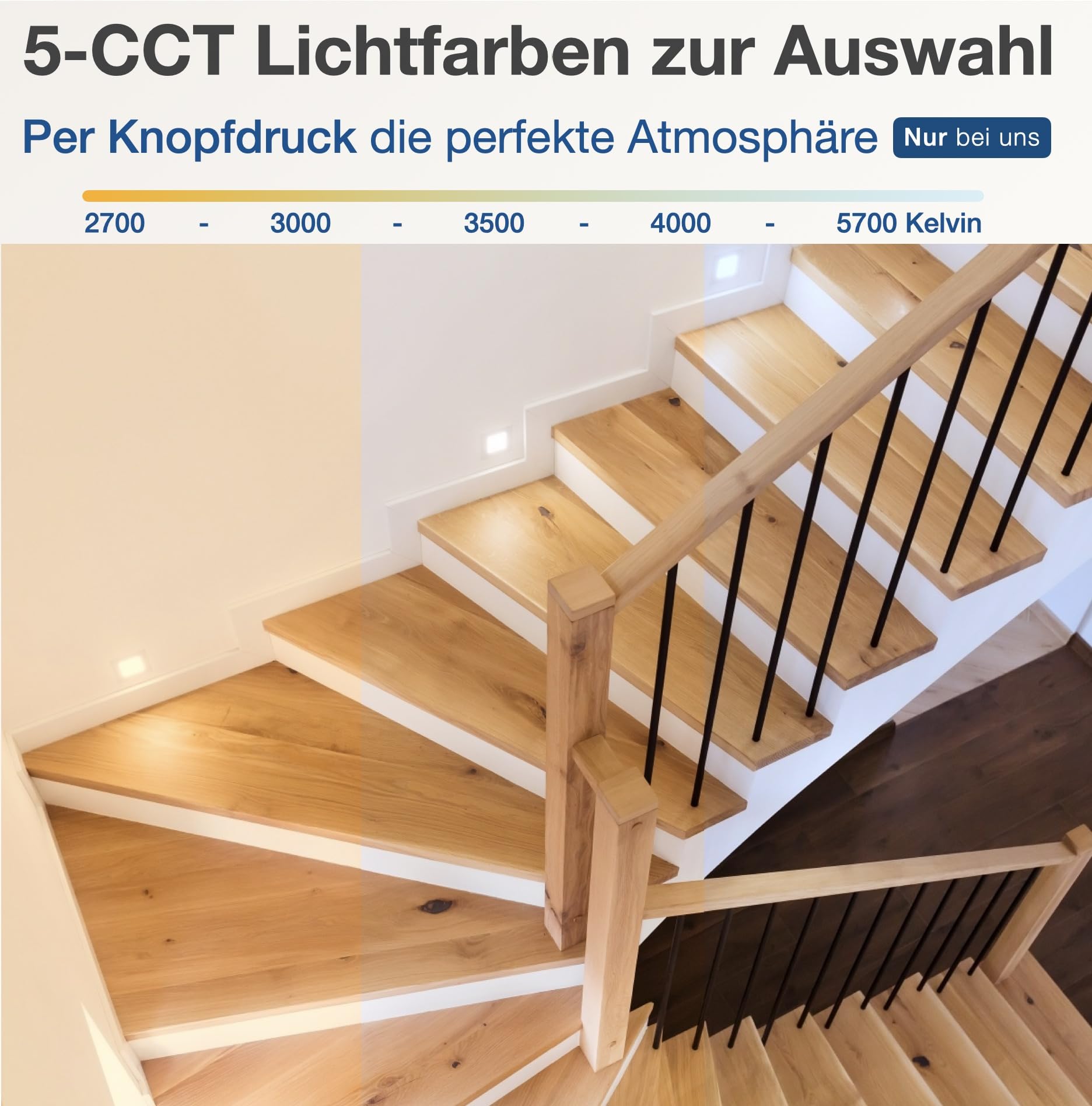 lambado® LED Treppenbeleuchtung Schwarz 1,5W | 230V Unterputz Treppenlicht Treppenbeleuchtung Innen | Wandeinbauleuchte Beleuchtung für Treppen | Treppenstufenbeleuchtung Cut