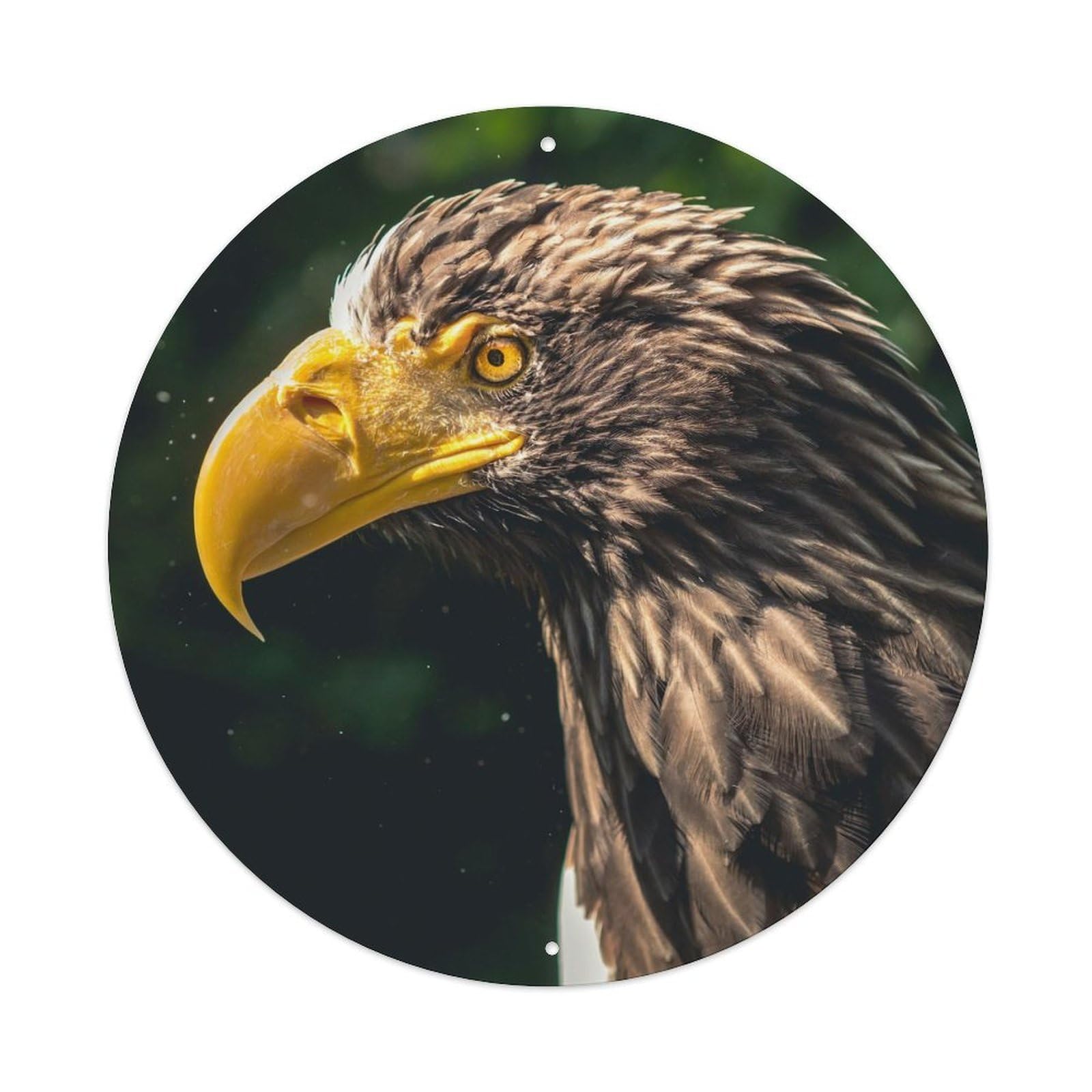 Animal Eagle Vintage Metal Tin Sign Plaque Wall Decor for Cafe, Club, Garden Round Metal Poster 8x8Inch