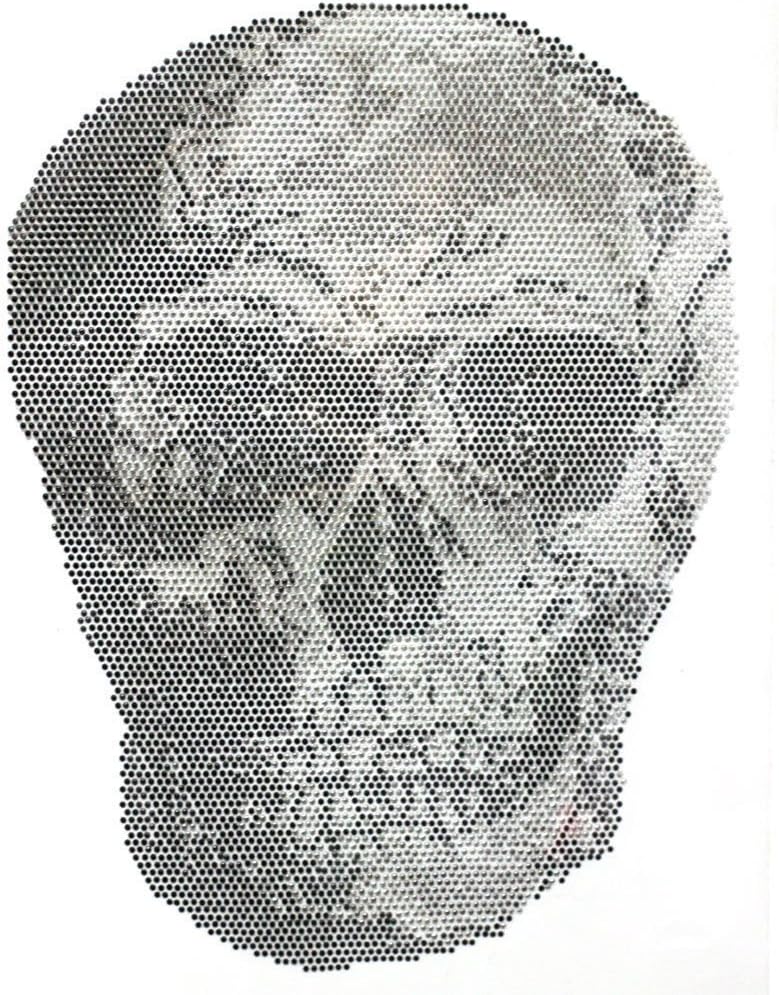 Rhinestone Transfer Hot Fix T-shirt Clothing Crafts Cushion Details Skull Design 1 Sheets