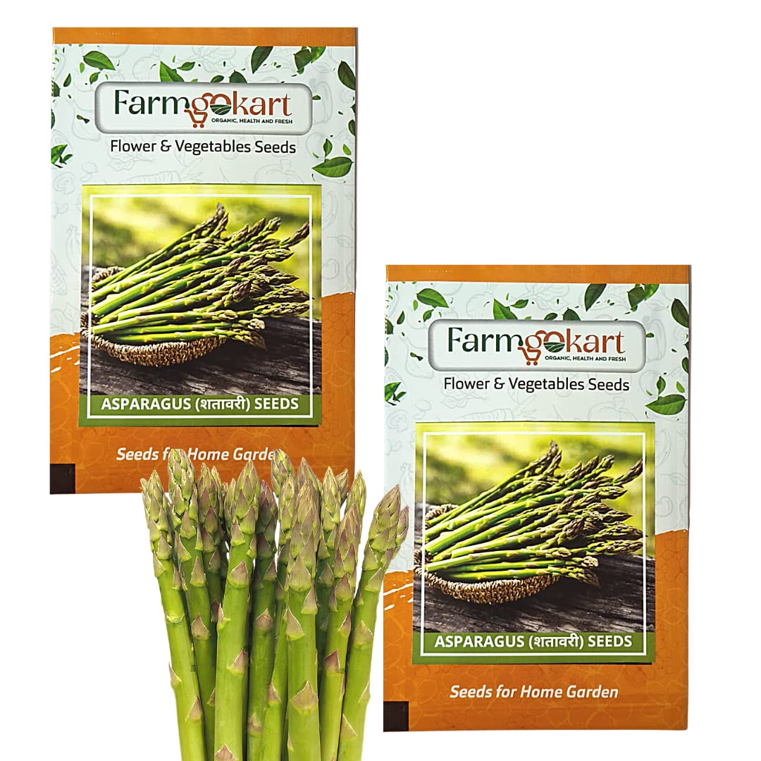 2 Packets of ASPARAGUS Seeds | Best Suitable For Terrace And Home Gardening | vegetable and Herbs Seeds Pouch | 40 nos seeds per packet | (B0BQF92VSF) Amazon Price History, Amazon Price Tracker