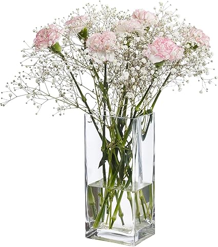 Incrizma - Imported Square Glass Vases 18 cm Height, LxW - 10x8 cm