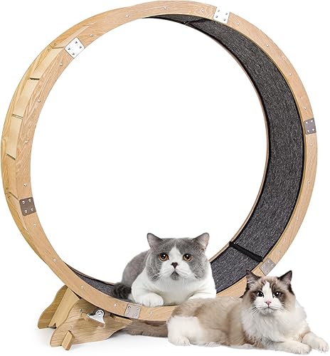 Miniatura 9 de LOCDION Ejercitador de ruedas para gatos de interior, rueda de ejercicio para gatos con diseño preensamblado mejorado, cinta de correr grande para