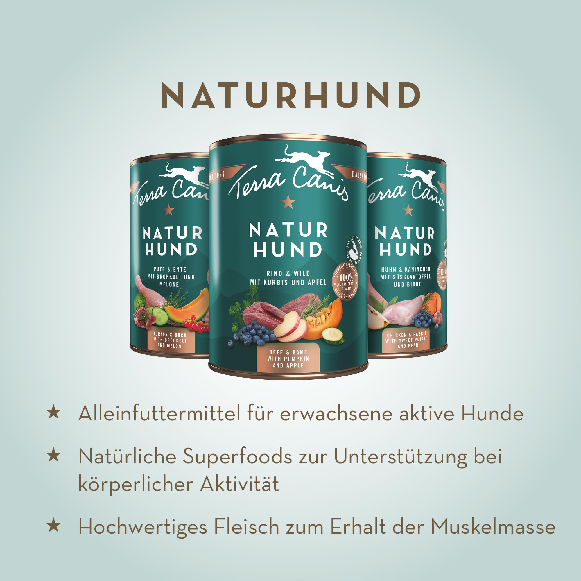 Terra Canis Tacchino e anatra, Naturhund cibo umido per cani, 12x400g | Materie prime di qualità alimentare al 100%, con superfood naturali, ideale per cani attivi, senza cereali e glutine