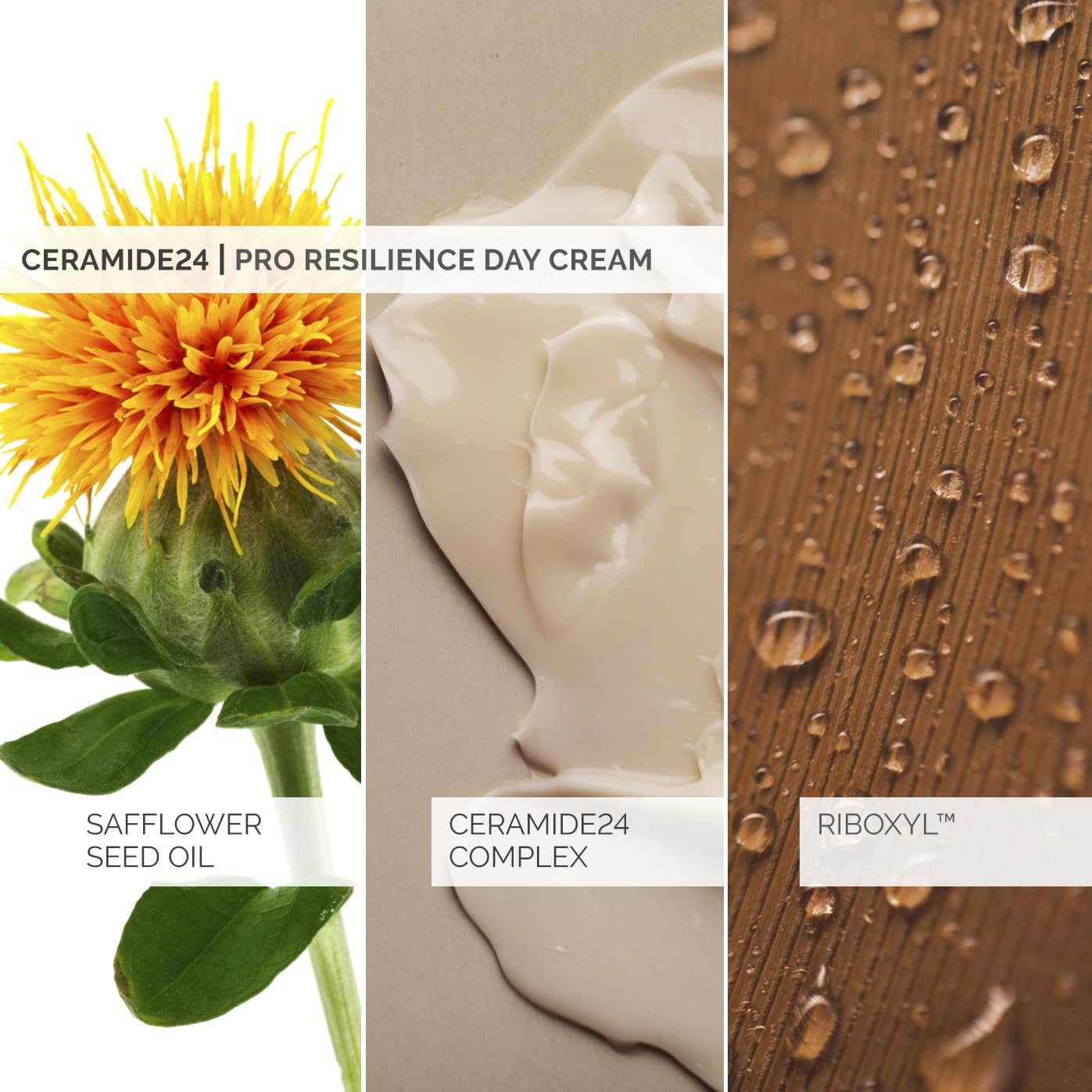 SkinSense Ceramide24 Pro-Resilience Crema Giorno 50 ml Crema Giorno Antietà Donna Ceramide Riparazione Pelle Crema Nutriente Viso Donna