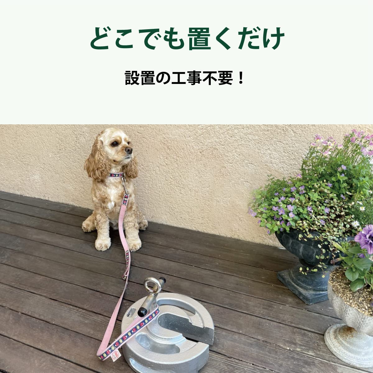 Amazon | シナノテント おもりdaワン カバー付き (ドッグアンカー