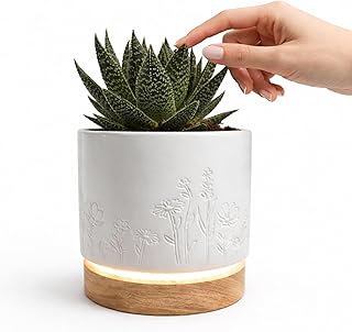 Magic Plantern® – Real Plant Leaf Touch-Activated Vintage Inspired 6