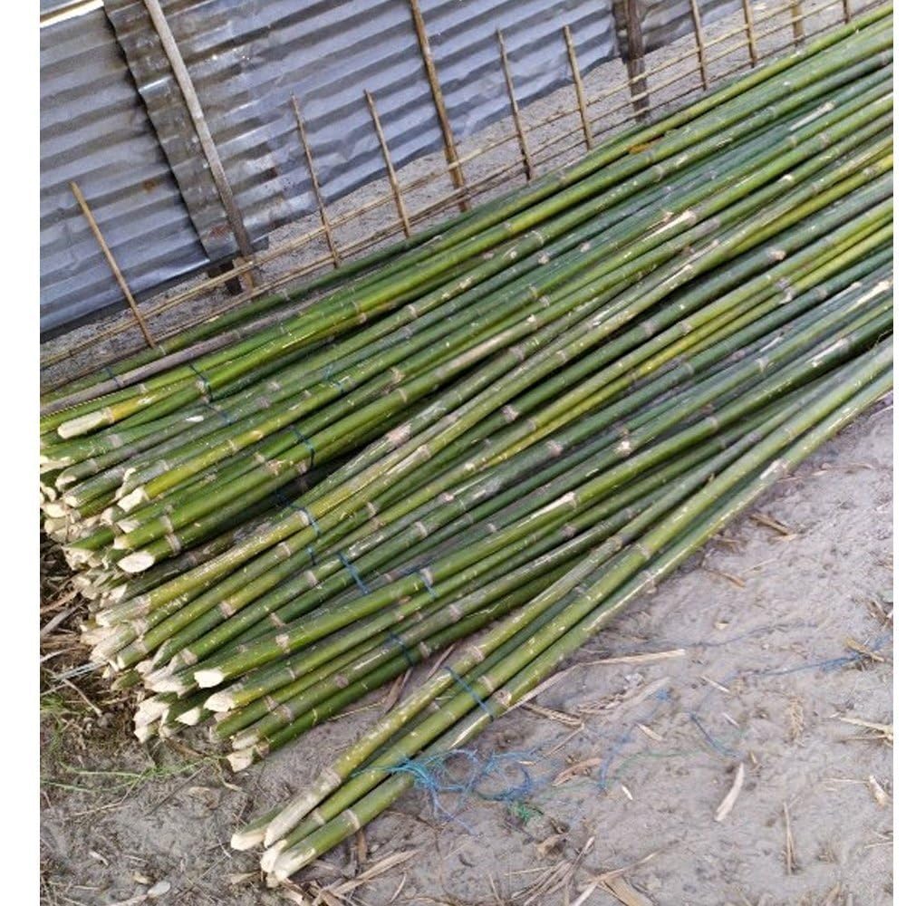 Bamboo Wooden Heavy Duty Poles 6 feet 6 ft 6 Foot 72 inch 10 pc | Natural Bamboo-image-38