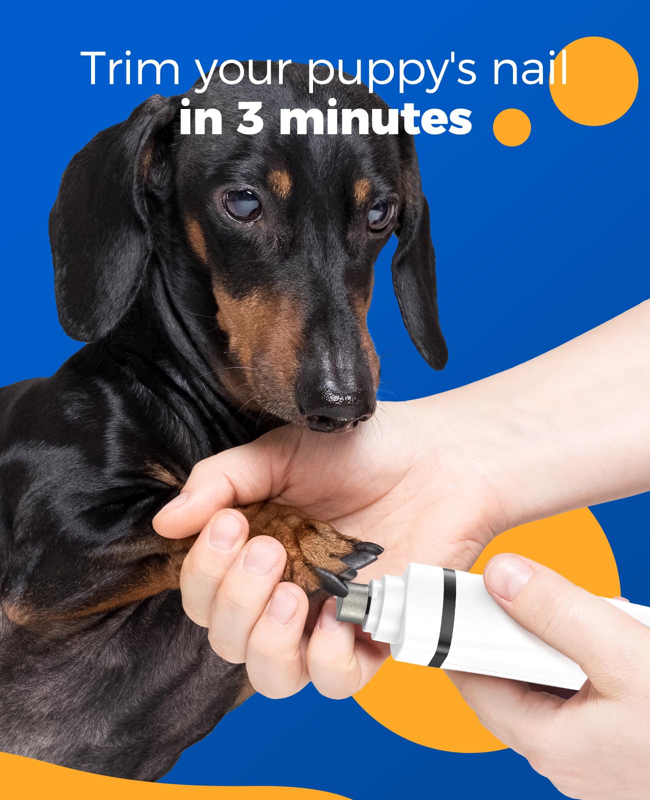 oneisall Tosatrice silenzioso per cani e gatti 4 in 1 completo, tagliacapelli ricaricabile per cani, taglia zampe e affila artigli con 4 testine multiuso per la depilazione di tutto il corpo (Bianco)