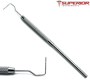 エトムント・フッサール Aufsätze und Vorträge 51GgpqIX0oL.jpg_BO30,255,255,