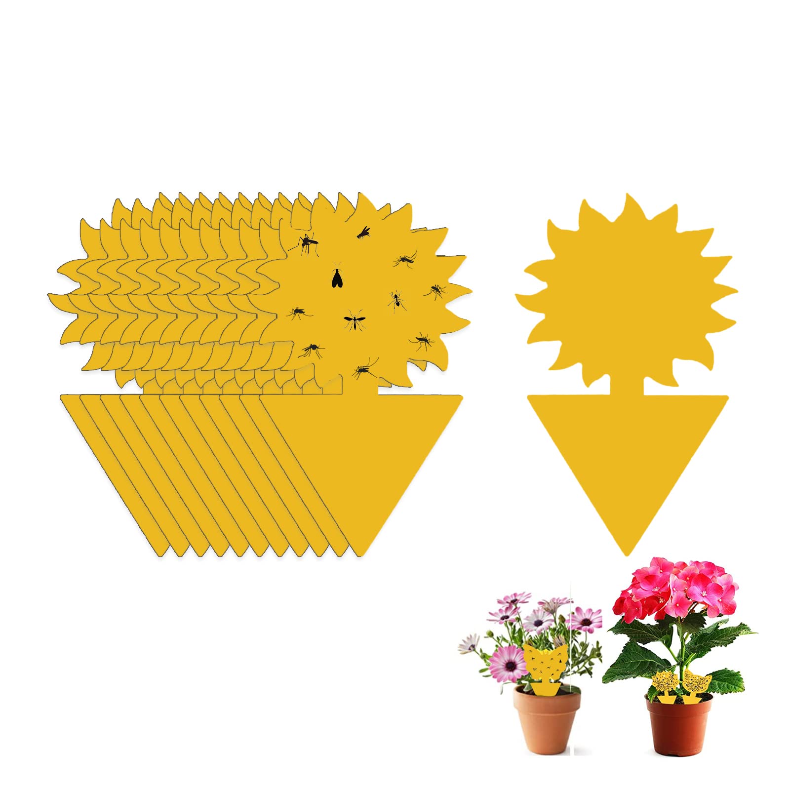 Fruit Fly Sticky Trap, 12PCS Fungus Gnat Traps Insect Trap, yellow sticker protection plant for Kitchen Indoor Outdoor Catch White Flies Mosquitos Fungus Flying Insects Houseplant (Sunflower)