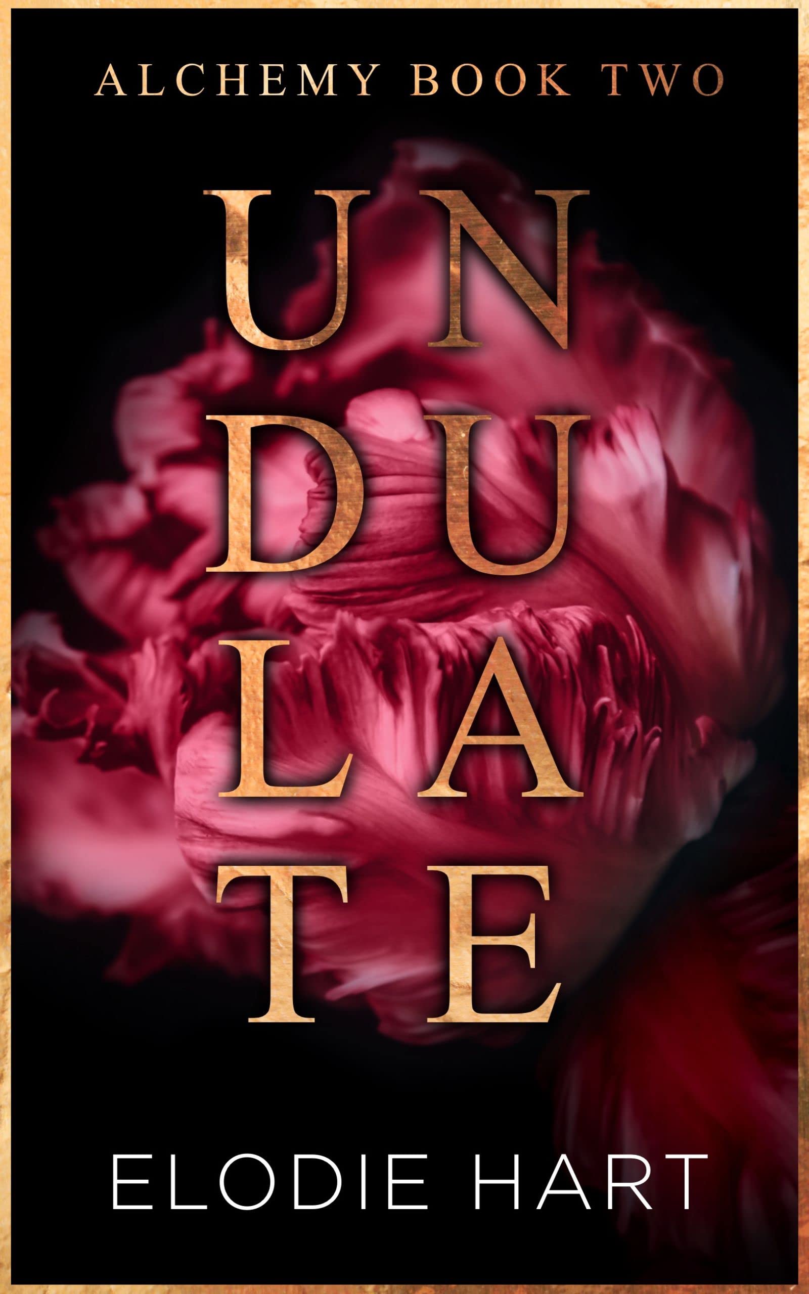 Undulate: A Hot Age Gap, Single Dad Romance (Alchemy)