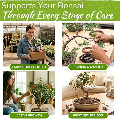 Miniatura 3 de Bonsai Tree Food | Premium, Gentle Liquid Fertilizer for Healthy Growth, Strong Stems and Beautiful Blooms | 3-3-3 Balanced NPK Concentrate | Made