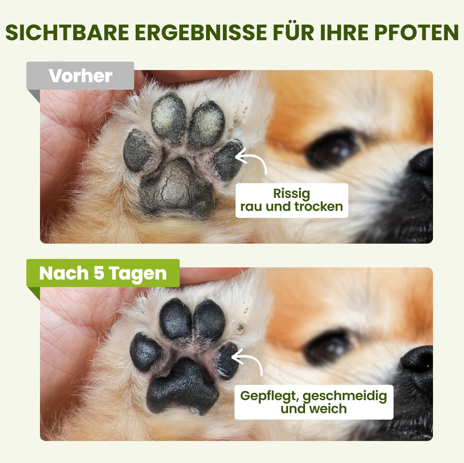 PawSono Pfotenbalsam Hund und Katze mit Kokosöl 60g | Sicher Ableckbar | 100% natürliche Pflege Pfotenpflege Nasenbalsam für Trockene, Rissige Nase und Pfoten | Hundepfoten Balsam Auch für Pferdehufe | Pfotenbalsam Hund und Katze mit Kokosöl 60g