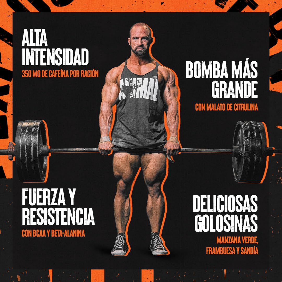 ANIMAL Fury Pre Workout Blue Raspberry - potenciador del entrenamiento con BCAA, beta-alanina, citrulina y 350 mg de cafeína - Para concentración, bombeo y energía - 483g