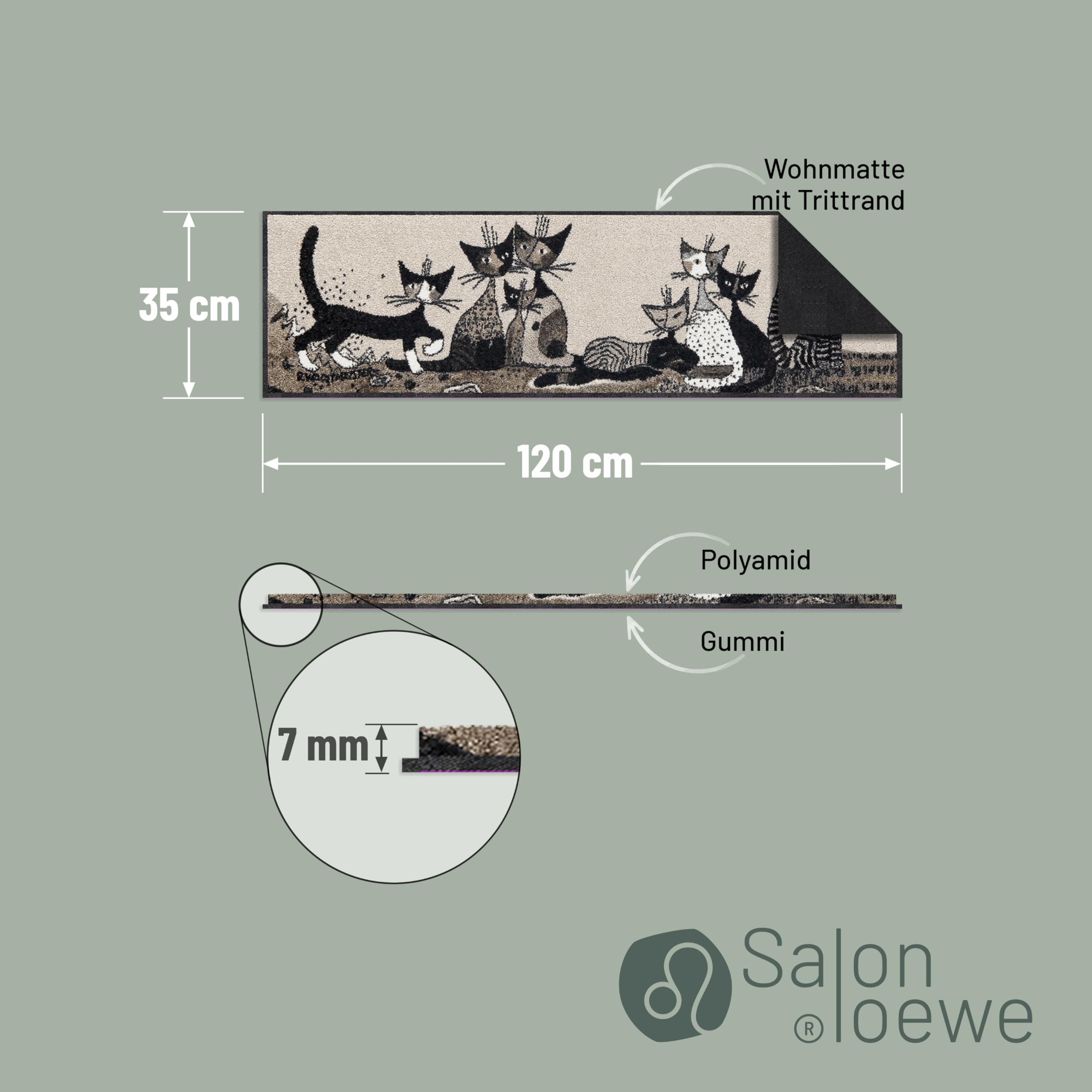 Salonloewe Läufer Serafino & Friends I Schmutzfangmatte & Fußabtreter für Innen 35 x 120 cm
