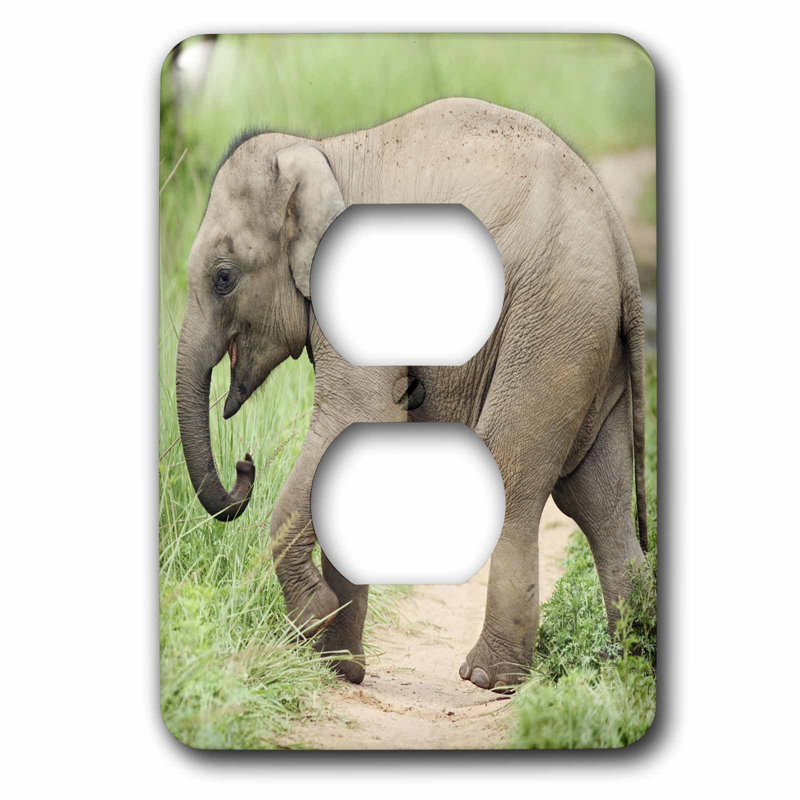 Double prise de courant motif éléphant d'Asie par Jagdeep Rajput