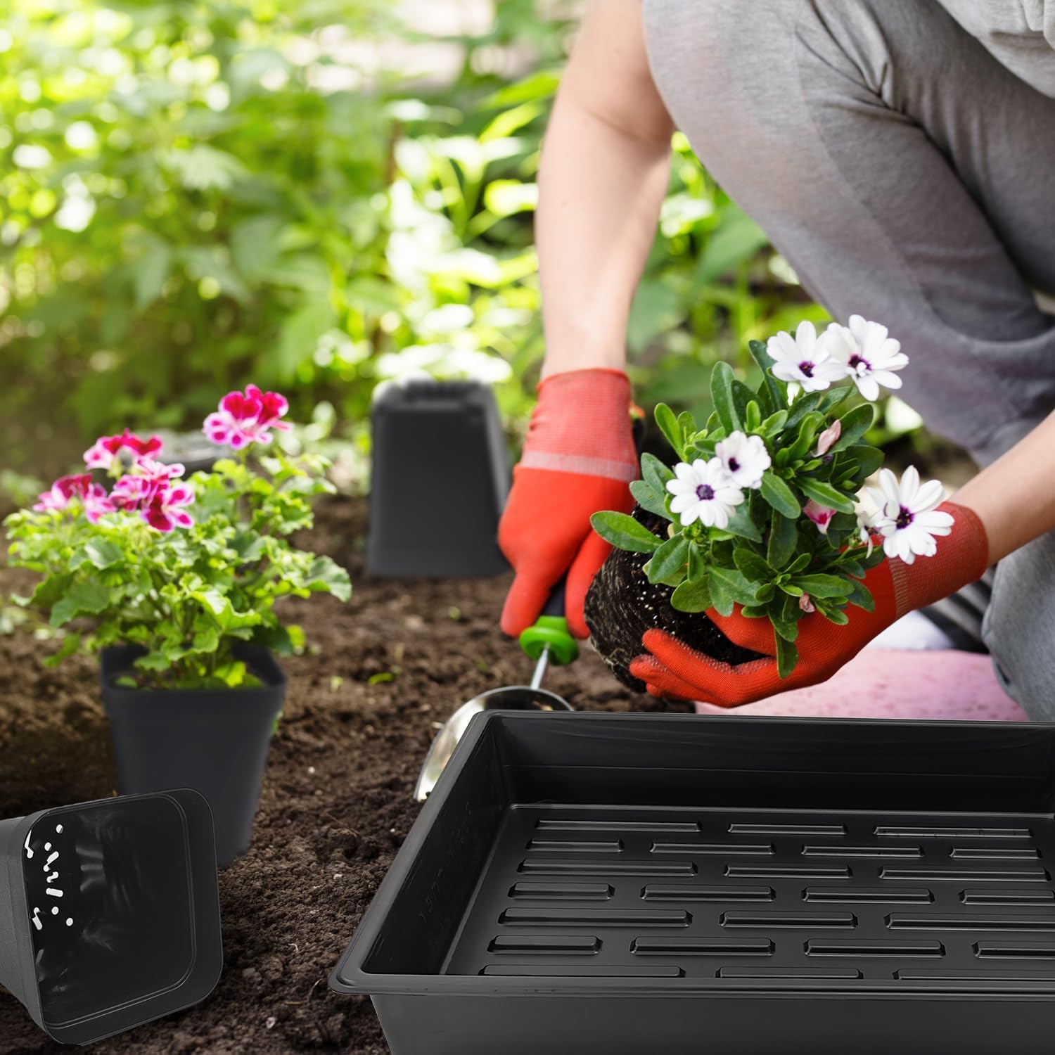 3.15 inch (8CM) Square Nursery Pots 100 pcs, Sturdy Seedlings Trays 5 Pcs, Seeds Starter Germination Tray, Microgreening Planter Nursery Propagation 5 Sets - Image 8