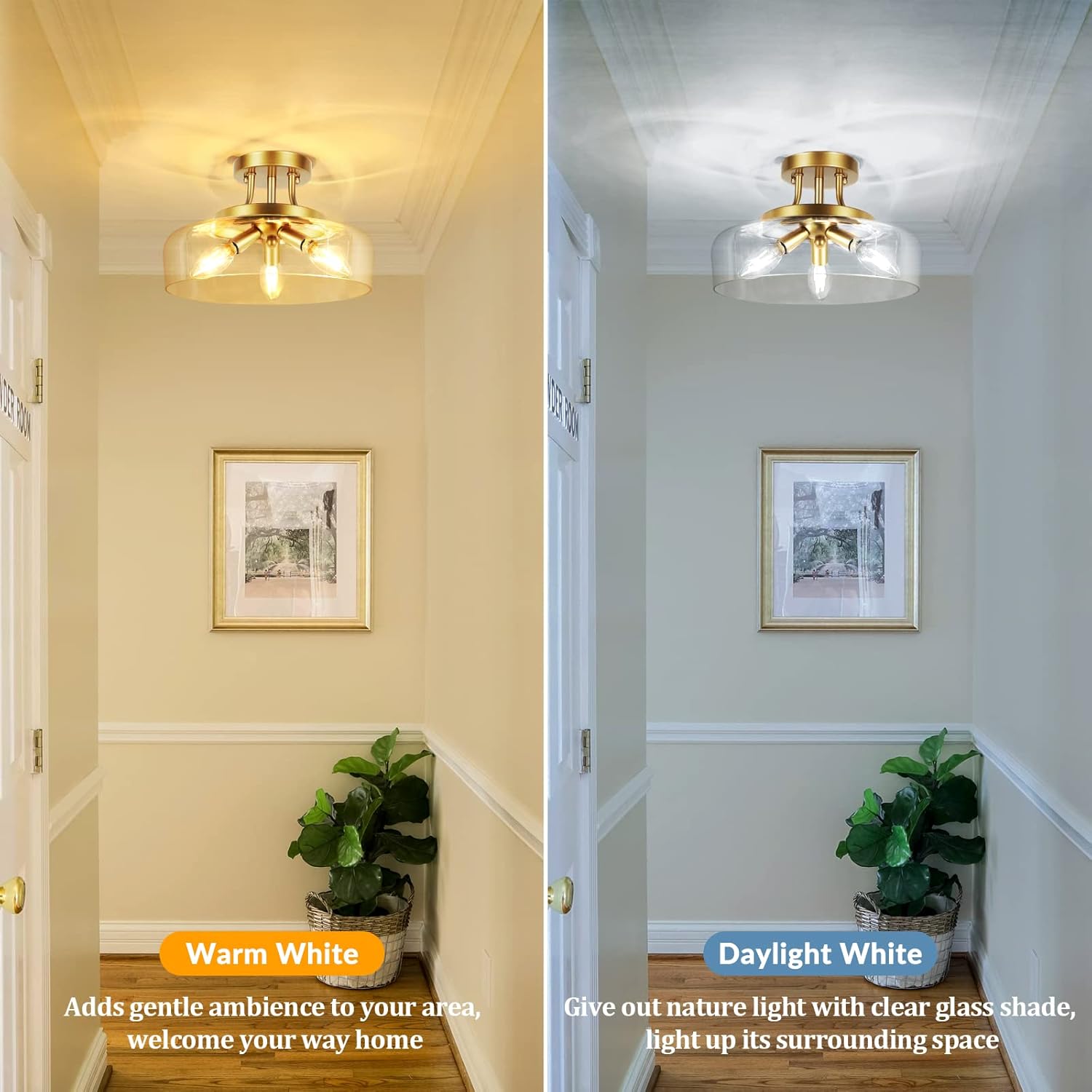 TOBUSA 3-Light Gold Semi Flush Mount Light Fixture, Modern Ceiling Light with Drum Glass Shade, Golden Ceiling Lamp for Living Room Kitchen Bedroom Hallway Bathroom Laundry, E12 Socket, No Bulbs