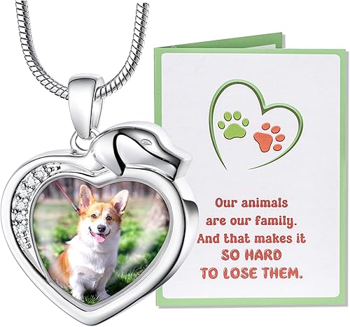 Farfume Collar personalizado con urna para mascotas, para perro, gato, cenizas, cremación, conmemorativo para mascotas, grabado con foto, texto,