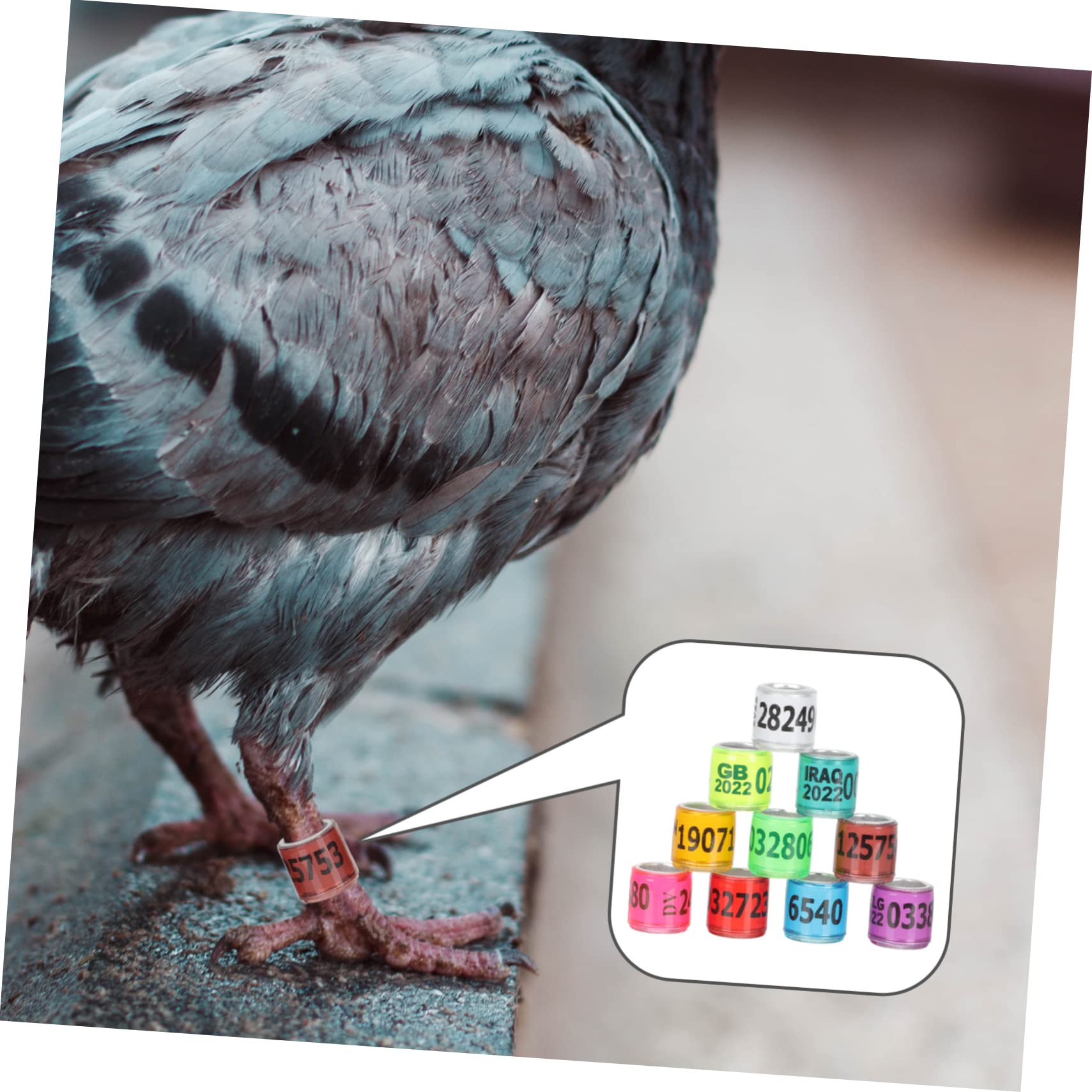 Vogelringe Aus Aluminium - 50 Stück, Mehrfarbig, Mit Zahlenmarkierung Für Tauben, Papageien & Ziervögel (versch. Größen 4,0-8,0 Mm Innendurchmesser)