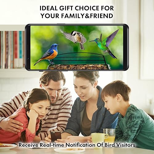 Miniatura 7 de Comedero para pájaros con cámara. Paneles solares de carga inteligente con cámara inalámbrica para exteriores, captura automática de videos de aves