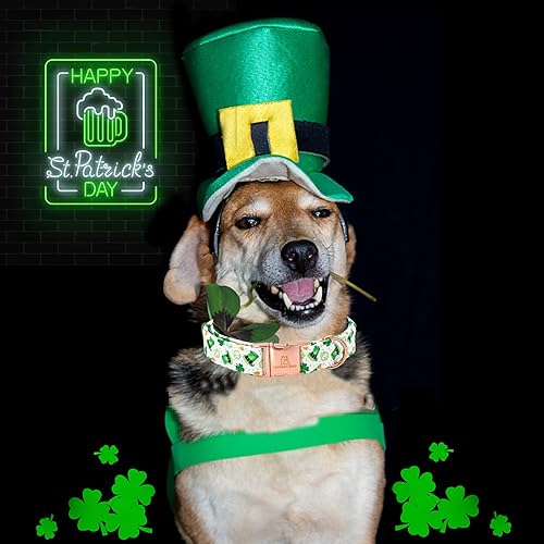 Miniatura 4 de Lionheart glory Collar de perro del día de San Patricio, collares de trébol, collar de perro verde para perros grandes, collar de perro de