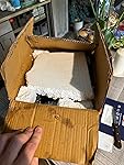 Review Image by Dawn
