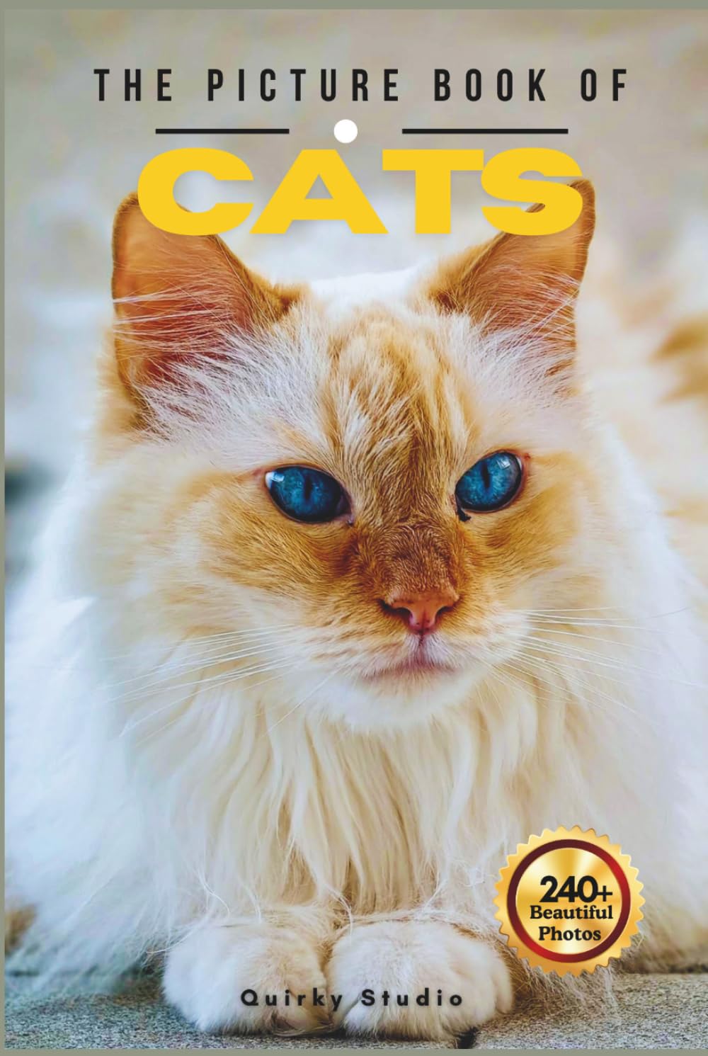 The Picture Book of Cats: A Beautiful Collection of Lovely Cats in Photos for Seniors with Dementia, Alzheimer’s, and Cat Lovers (Full Color)